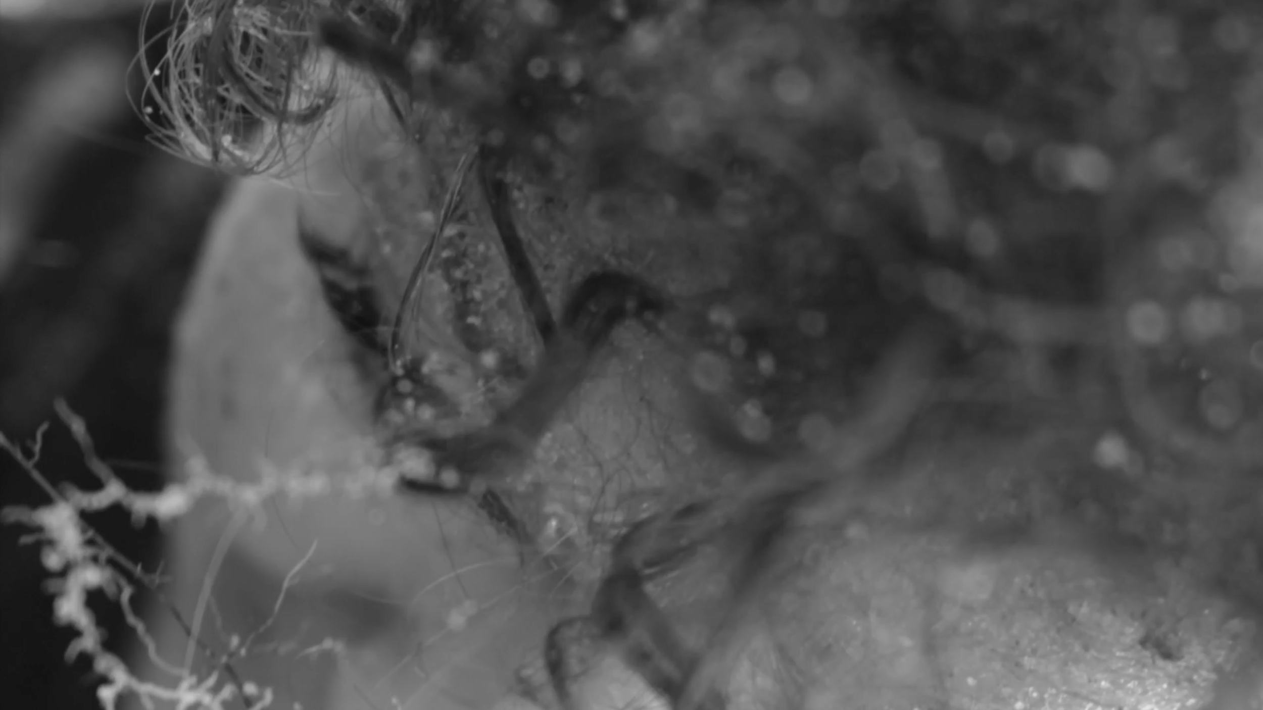 Screenshot 2025-12-28 at 19.07.36.png