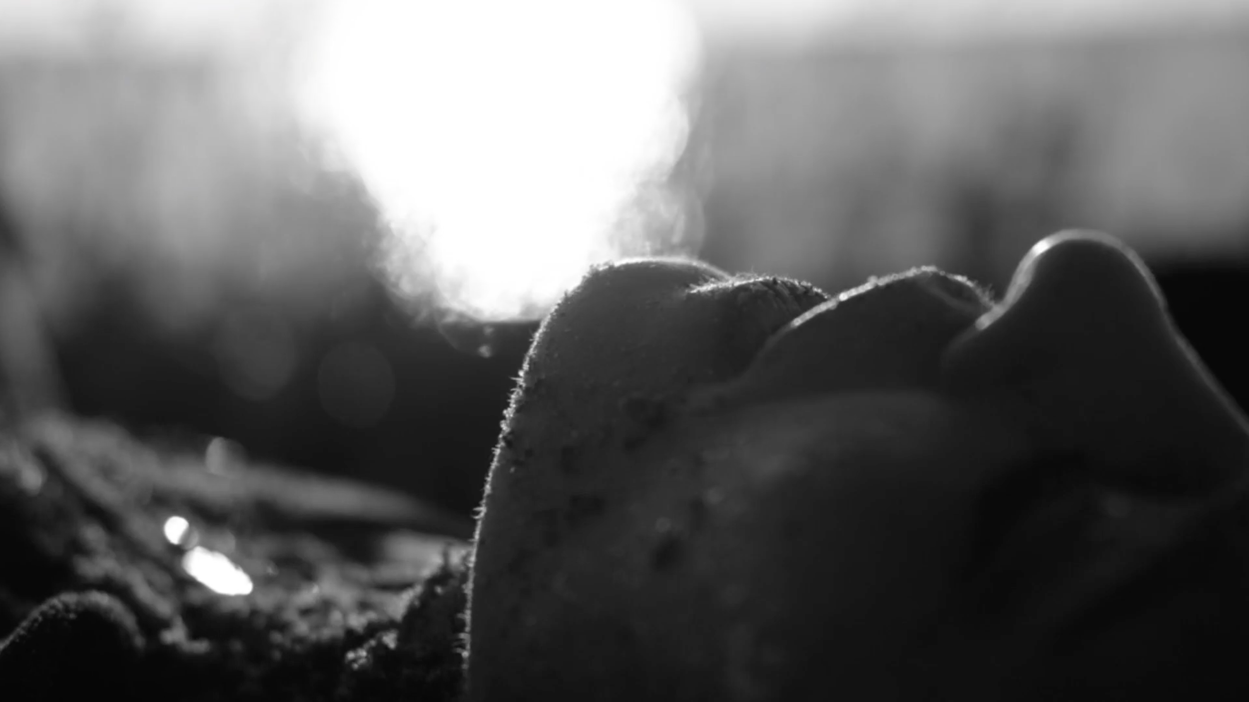 Screenshot 2025-12-28 at 15.00.53.png