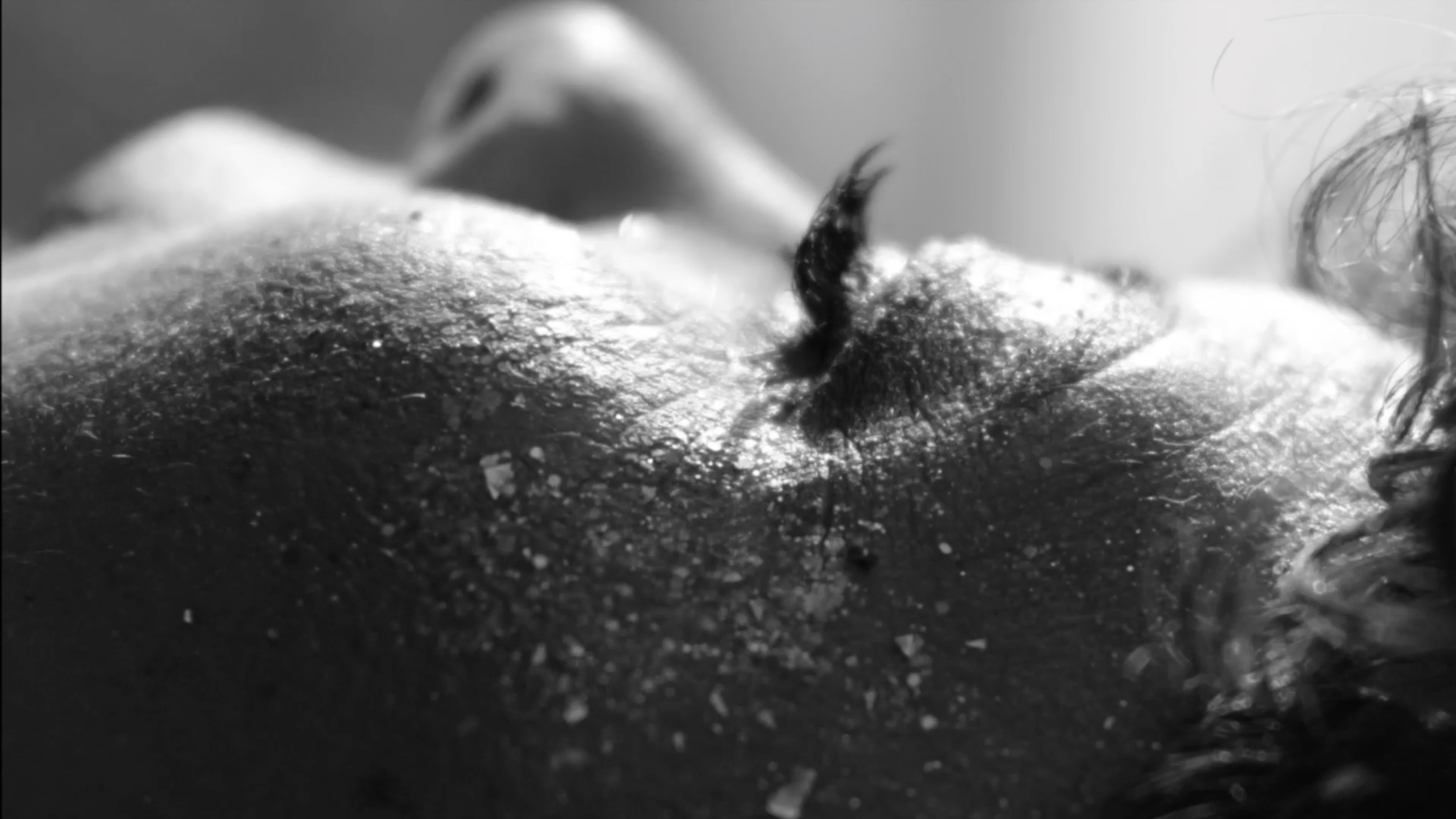 Screenshot 2025-12-28 at 18.53.49.png