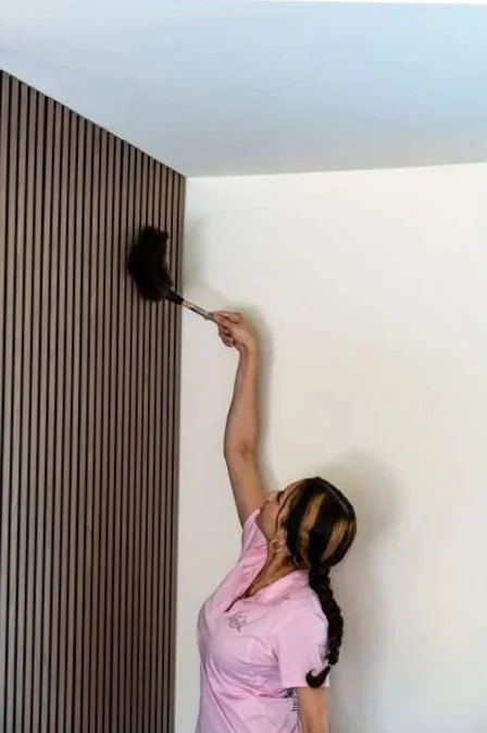 Maintenance Cleaning