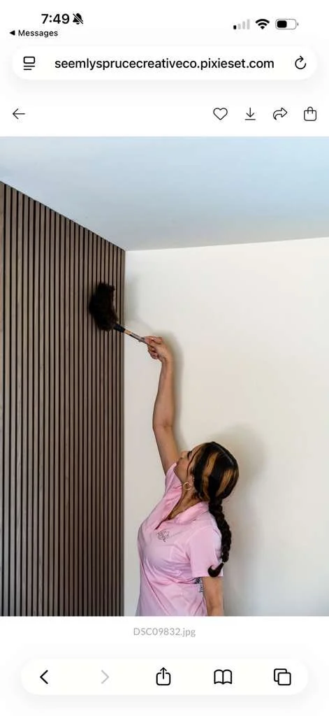 dusting wall.jpg