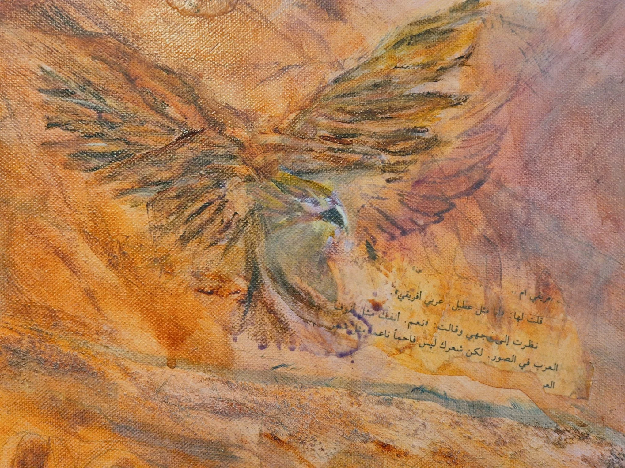 BTH Snap Eagle 2.jpeg