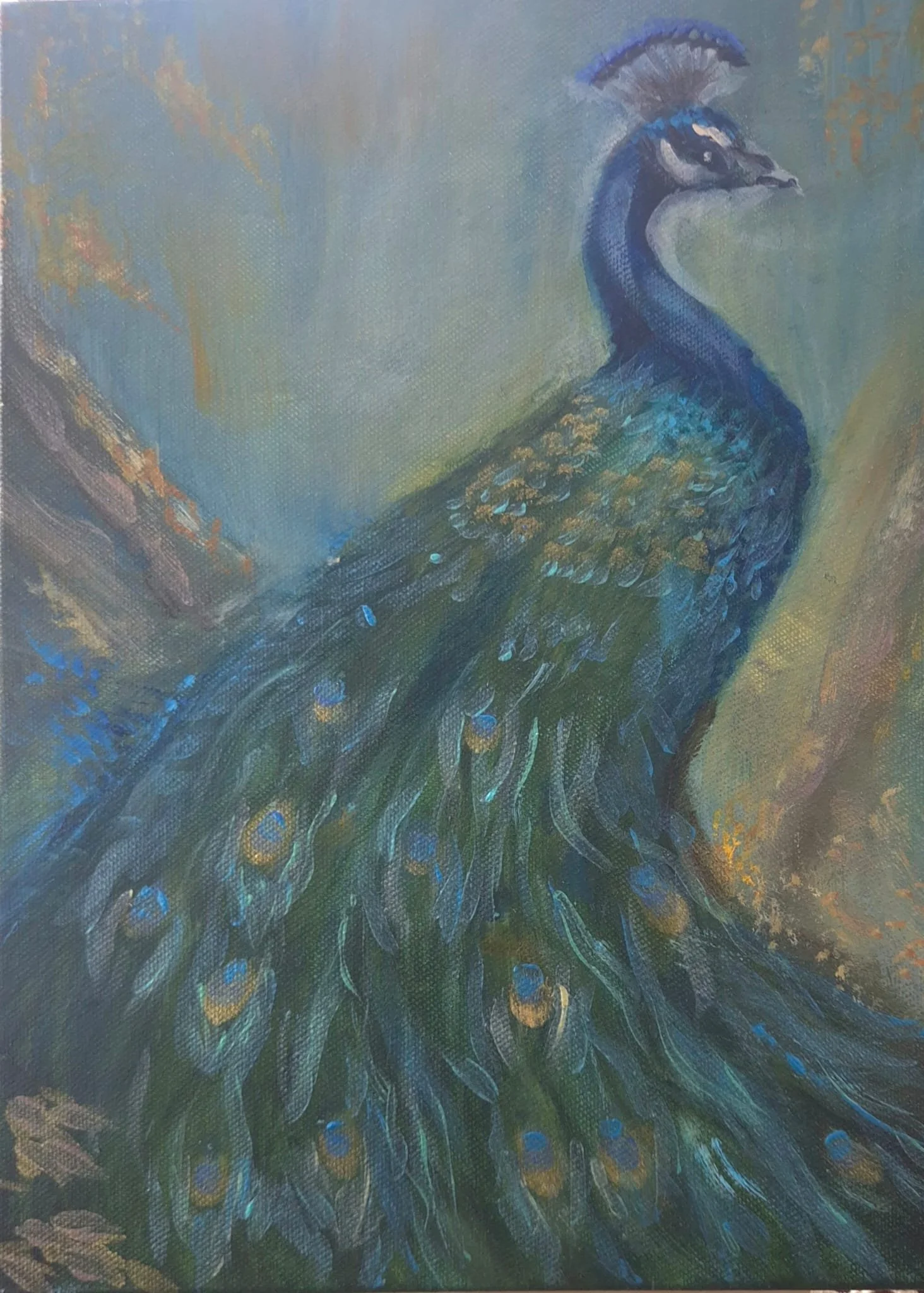 Peacock, Hero Image.jpeg
