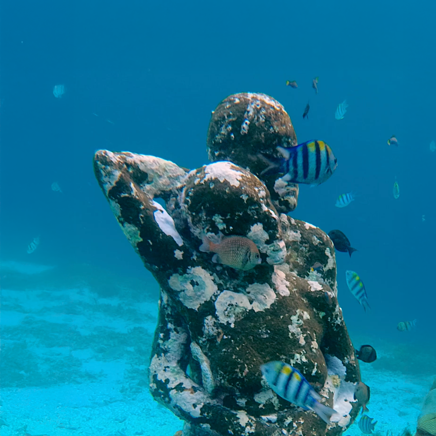 INSTAGRAM - Hidden Gems of the Ocean