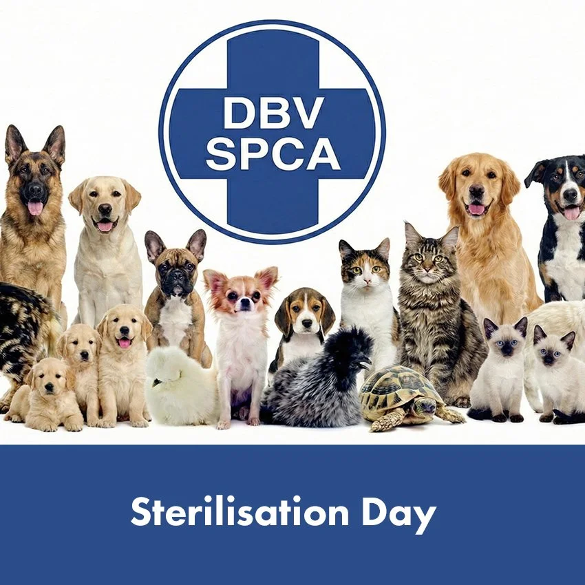 SPCA Sterilisation Campaign