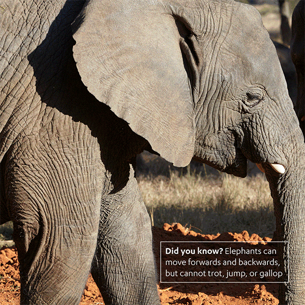 Social media, post  luxury accommodation, and flights