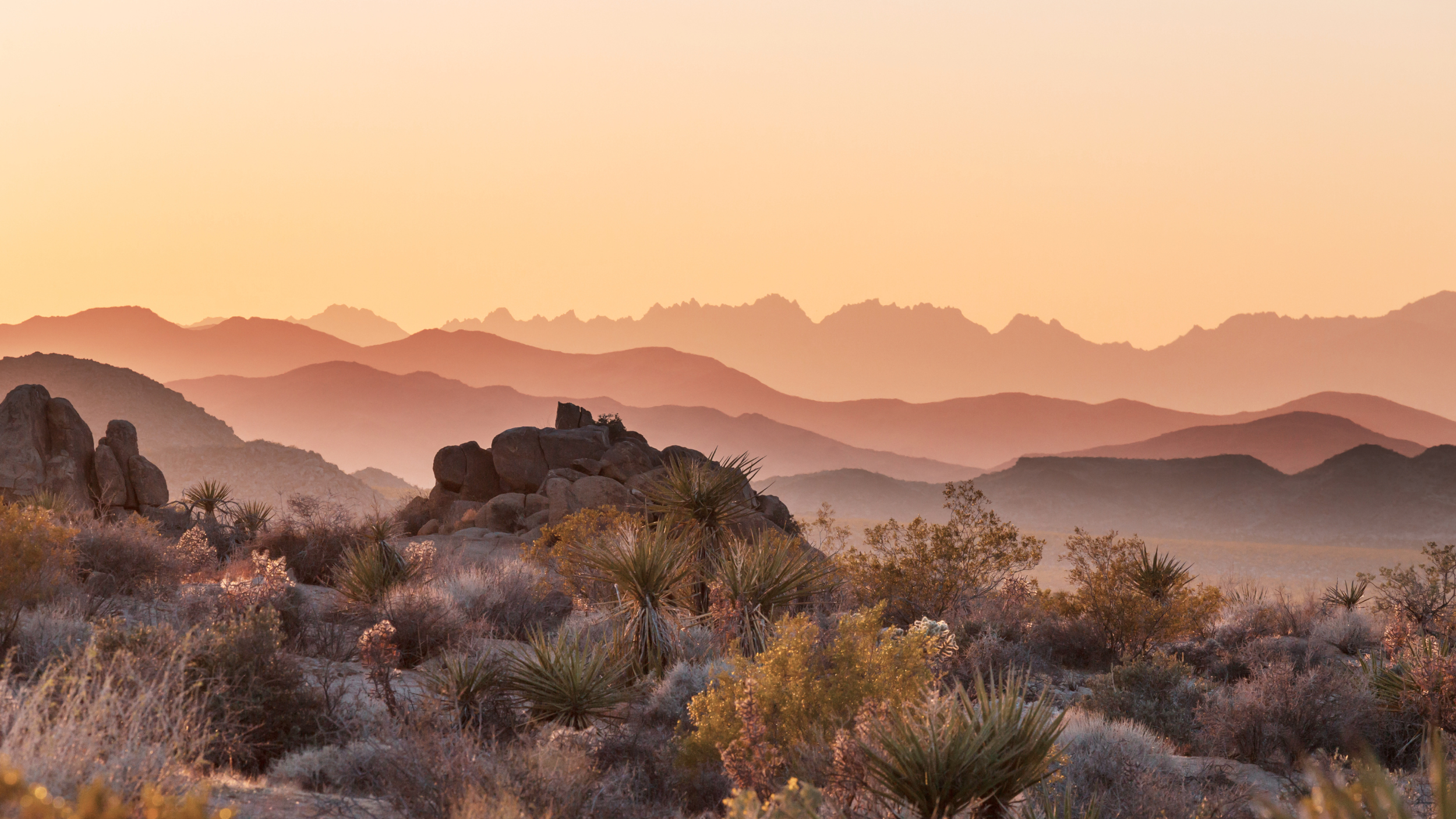 A desert landscape with rocky terrain and desert plants, including yucca and bushes, under a pastel-colored sky with distant mountain ranges at sunset.