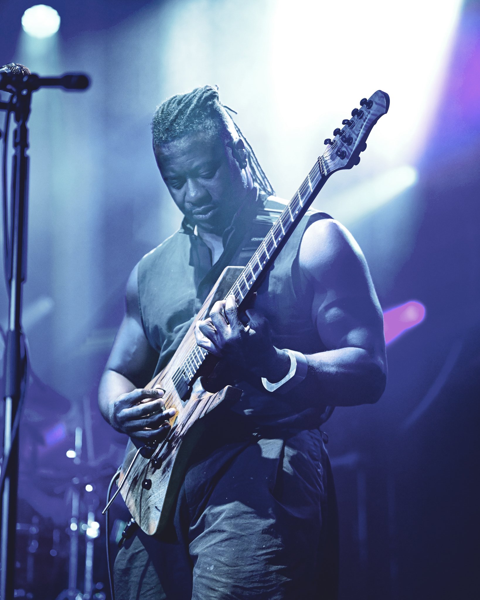Animals as leaders 3.jpg