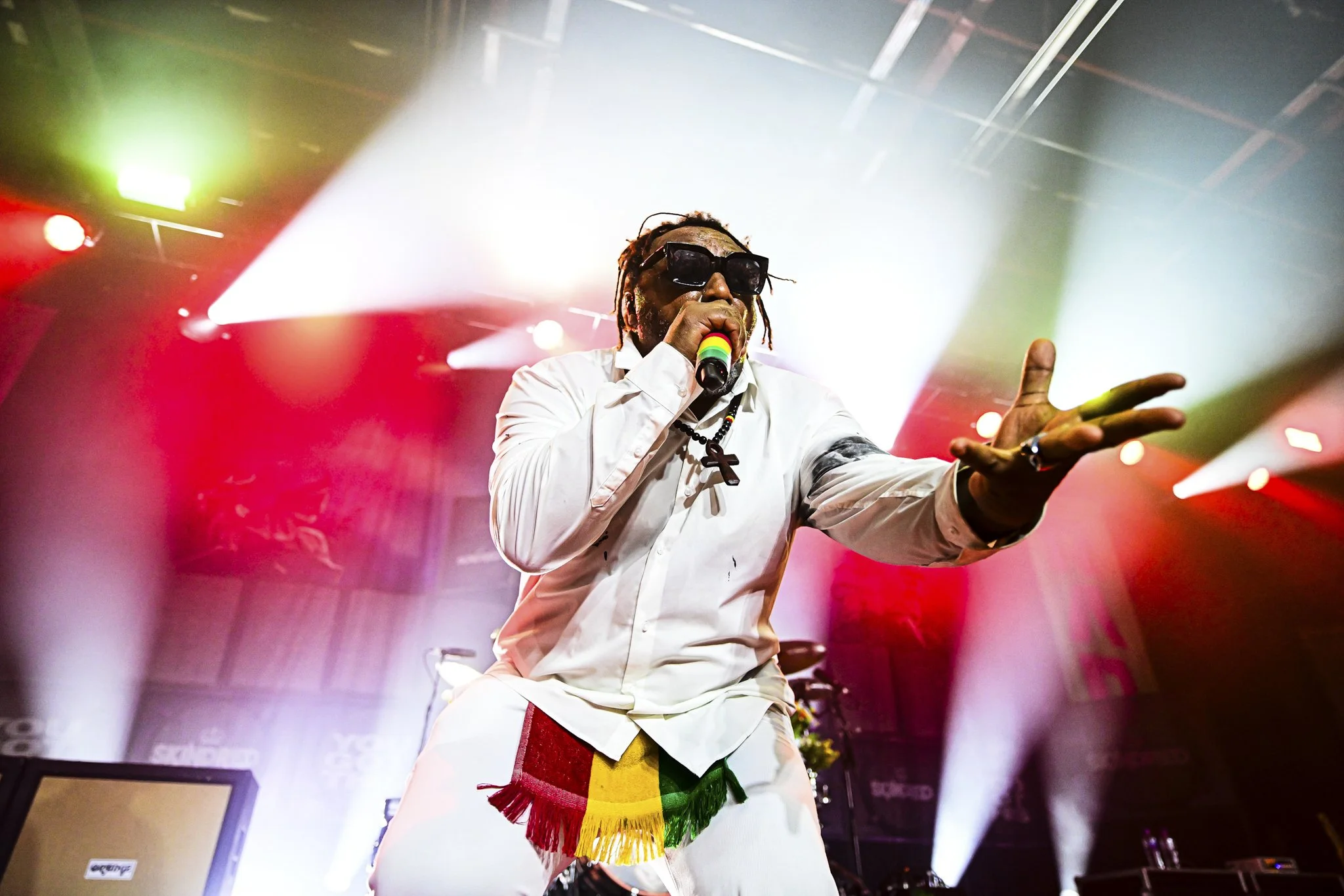 Skindred 2.jpg