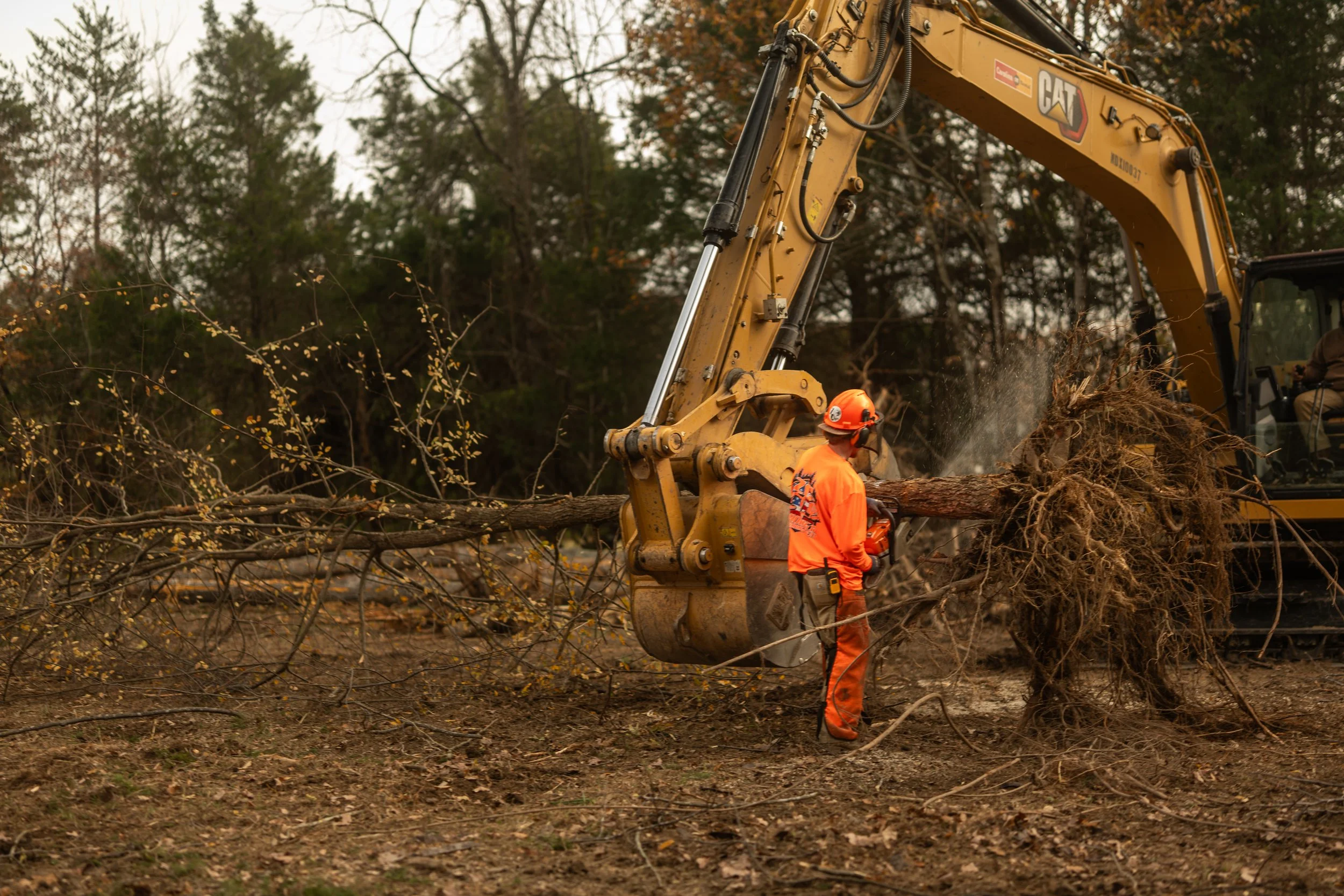 A worker in orange safety gear operating a yellow CAT excavator to clear a fallen tree in a wooded area.