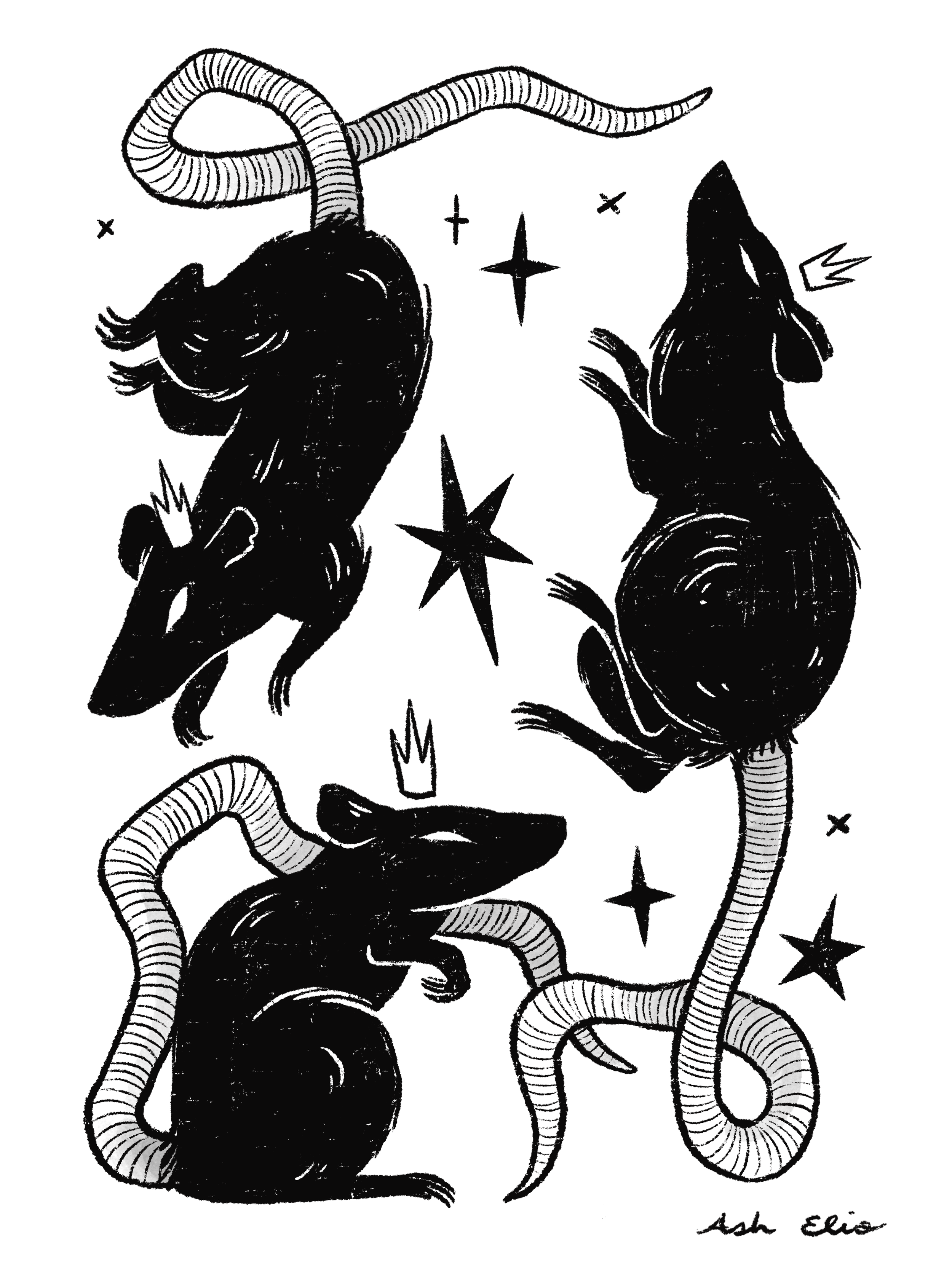 Untitled_Artwork 2.png