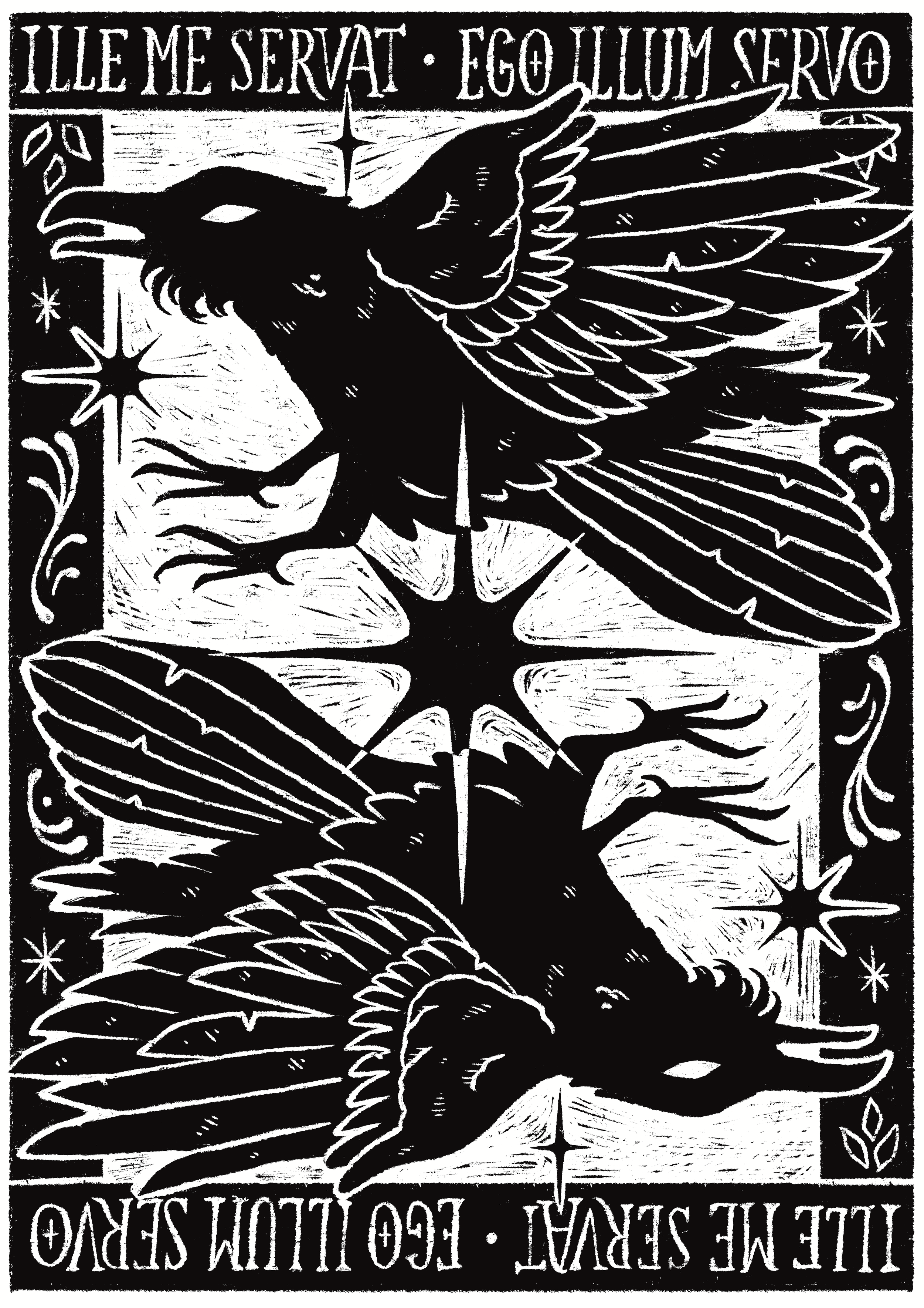 Latin_Ravens (2).png