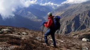 Insurance Licence Authorisation: Part V - Establishing Control Functions