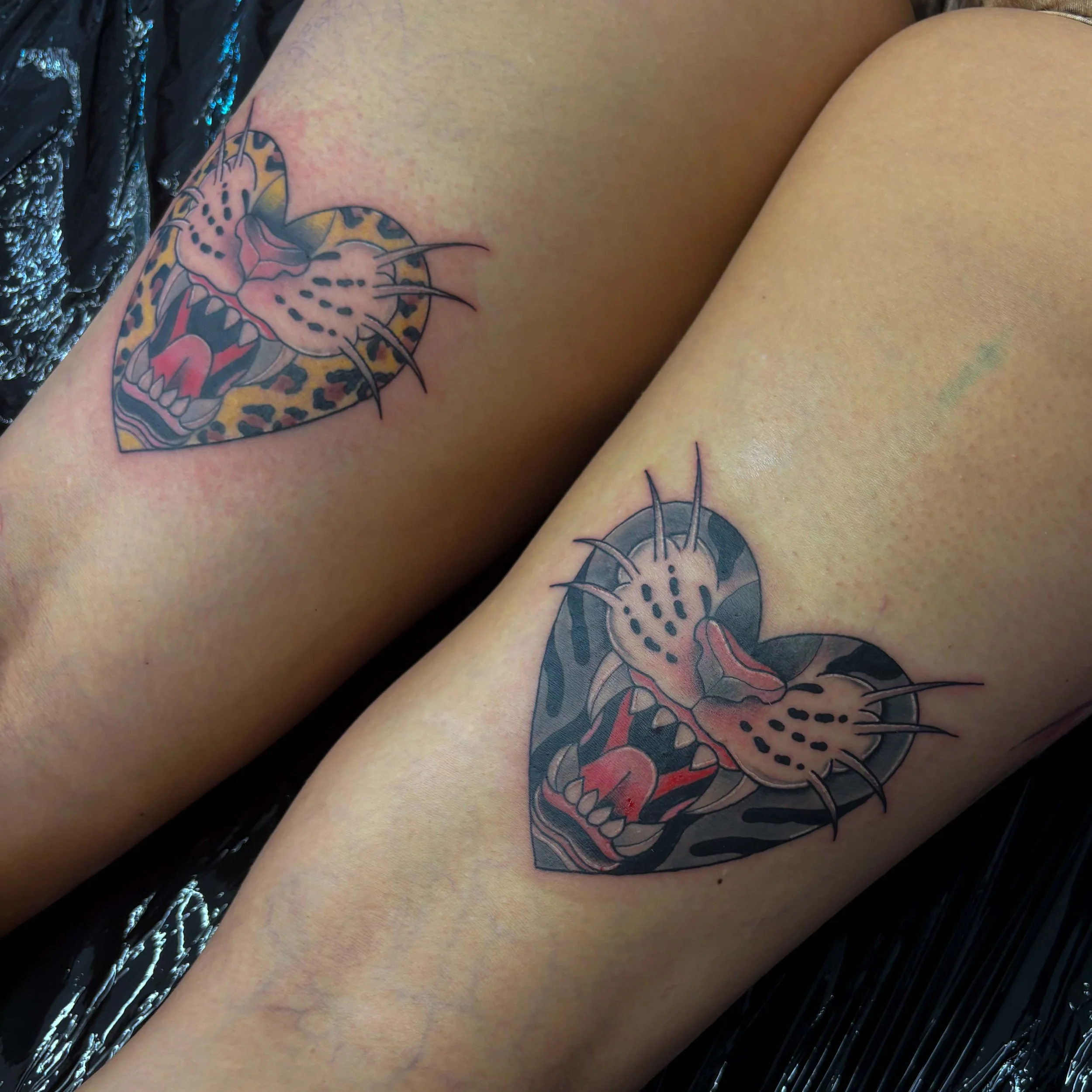 Close-up of two tattoos on legs, each featuring the face of a snarling big cat with sharp teeth and whiskers, one in color with a heart-shaped background, the other in black and gray with a circular background.