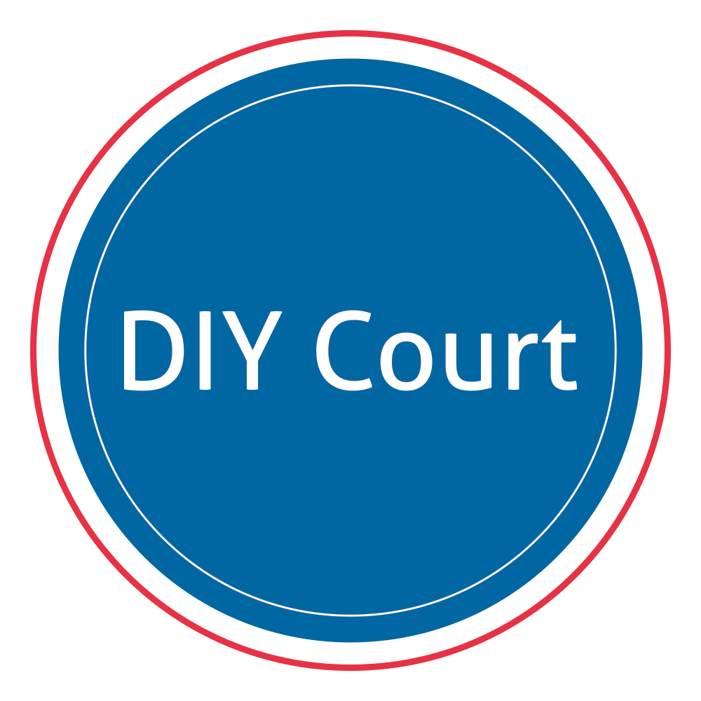 DIY Court USA Logo