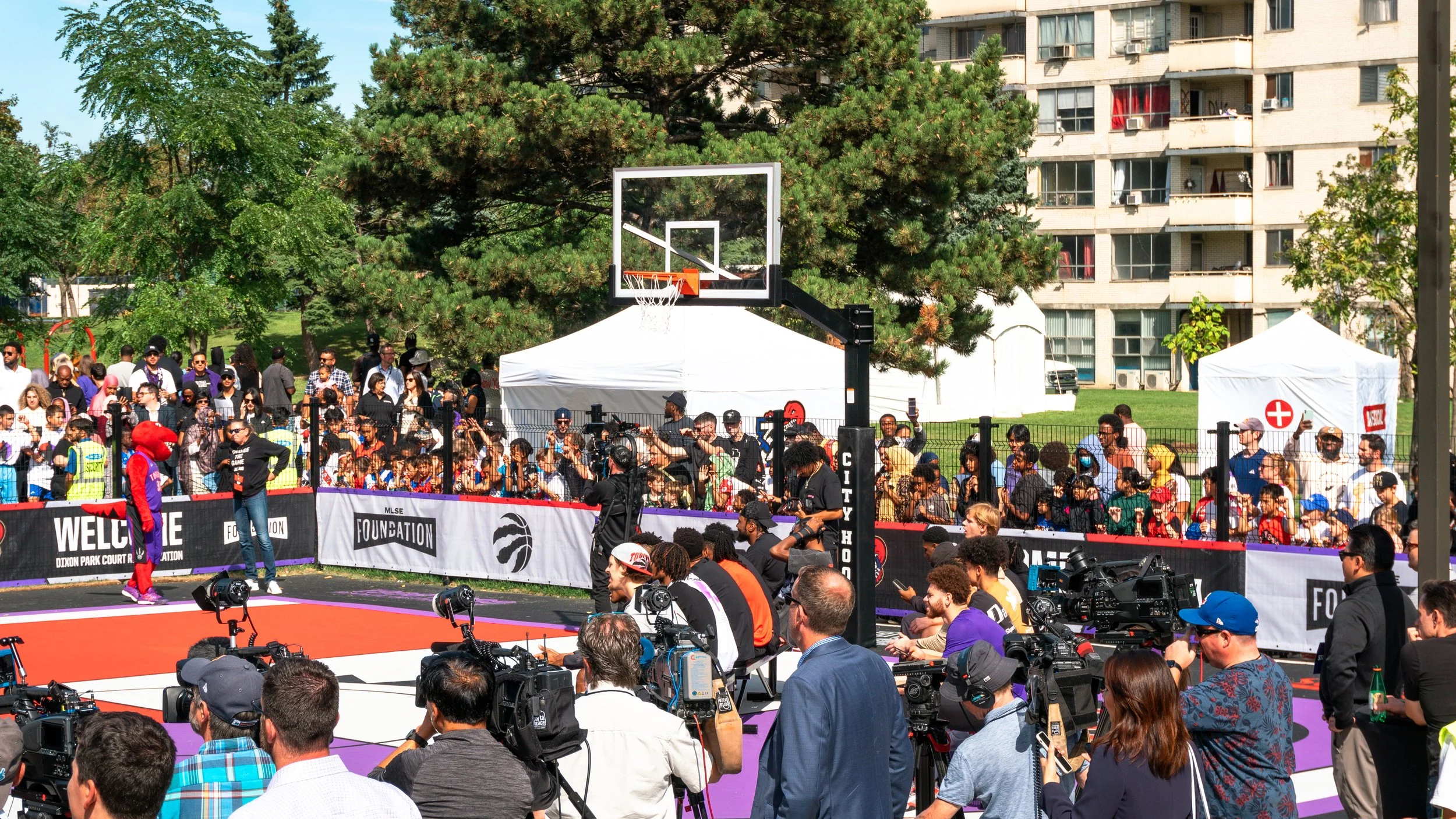 City Hoops Gooseneck Vince Carter NBA Basketball Hoop.jpg