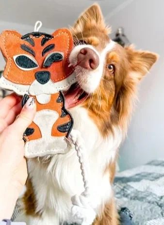 Tina the Tiger Design Tough Eco Dog Toy