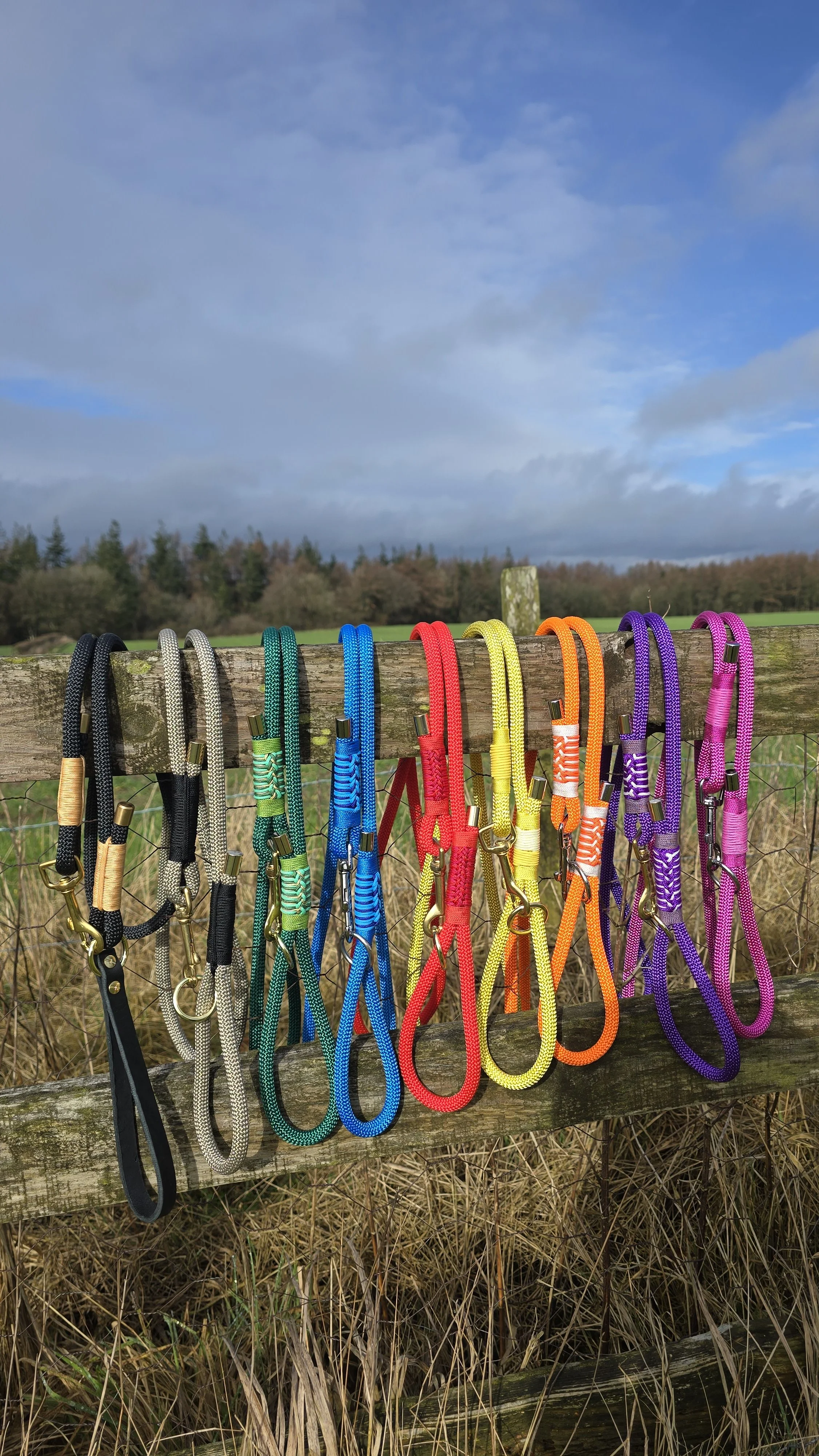 20260302_121547 (1).jpg