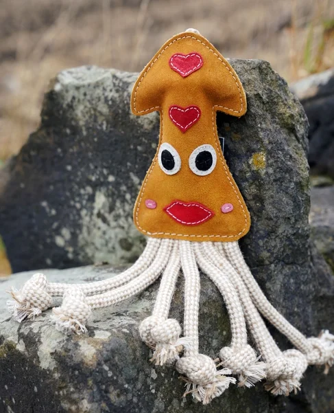 Karen the Squid Eco Dog Toy