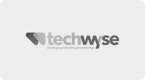 TechWyse logo with the tagline 'Growing business through technology' on a white background.