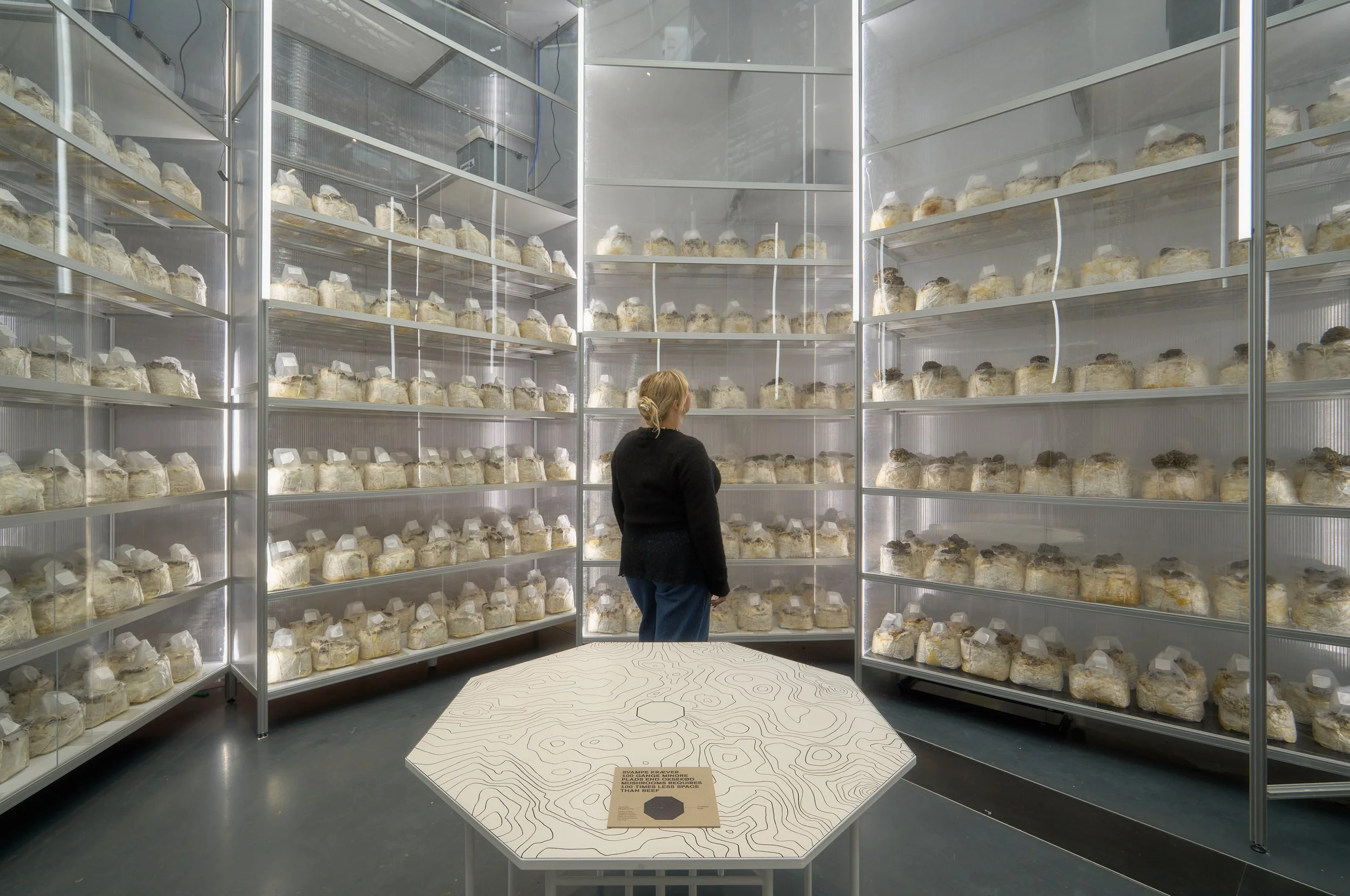 Dansk Arkitektur Center 2025. Photo af Anders Sune Berg