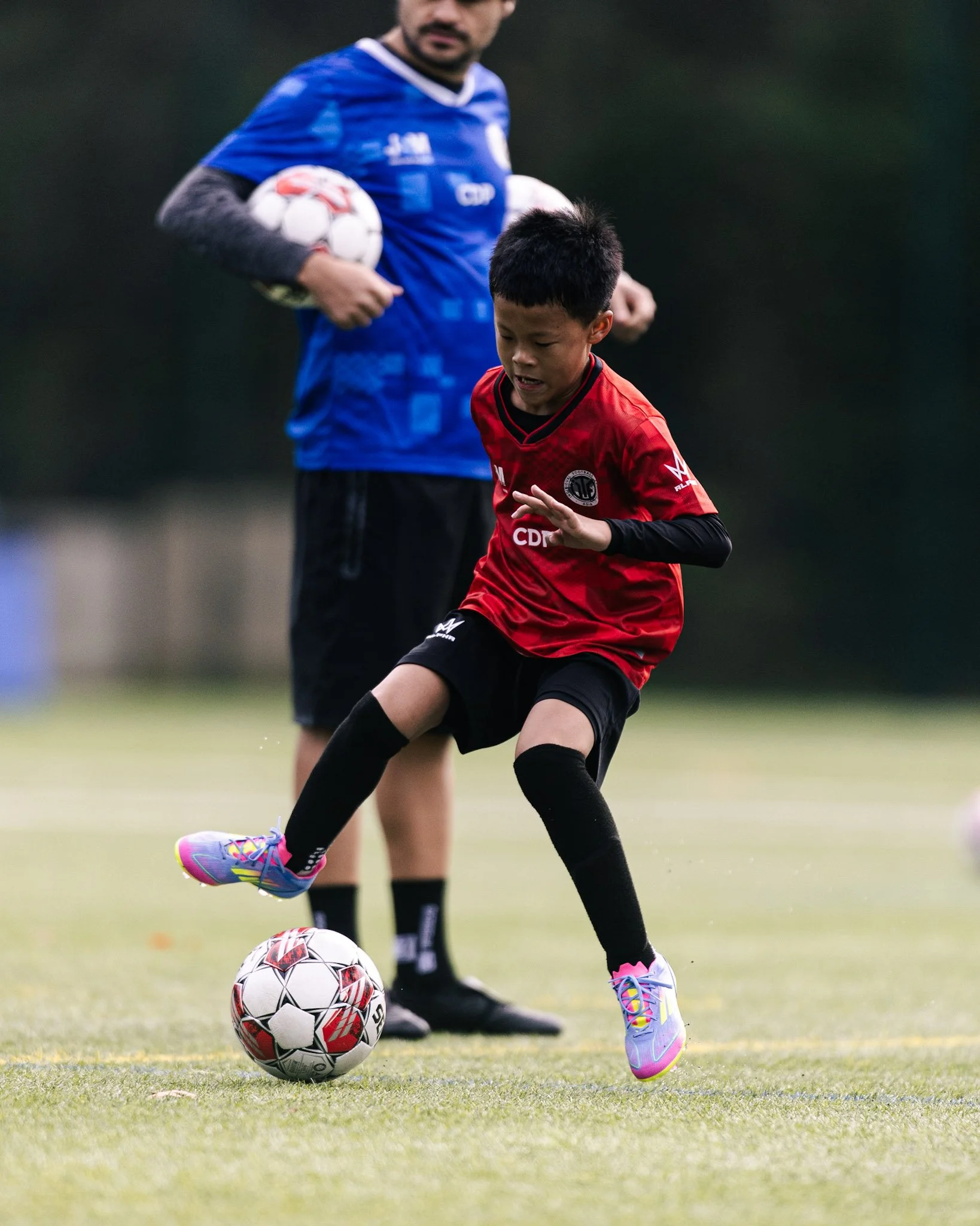 Professional Intensive Training Program