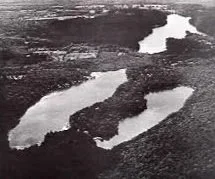 Landscape with three lakes separated by land, surrounded by trees and open land.