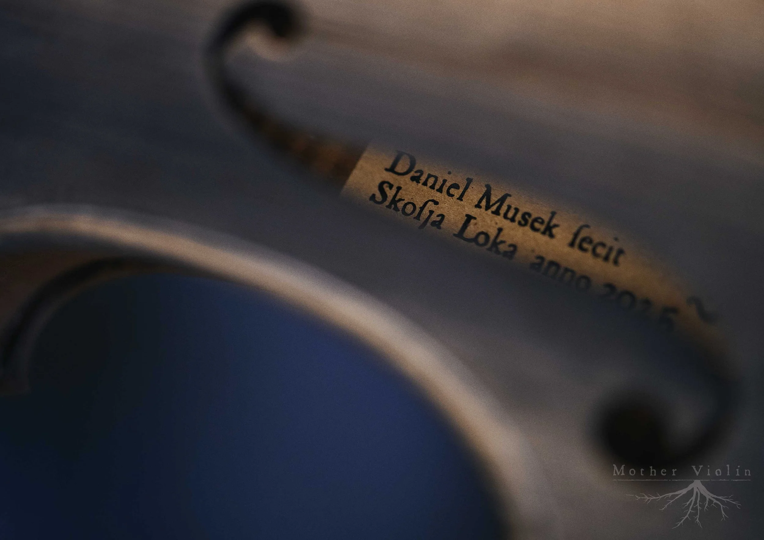 photo/foto Jana Jocif