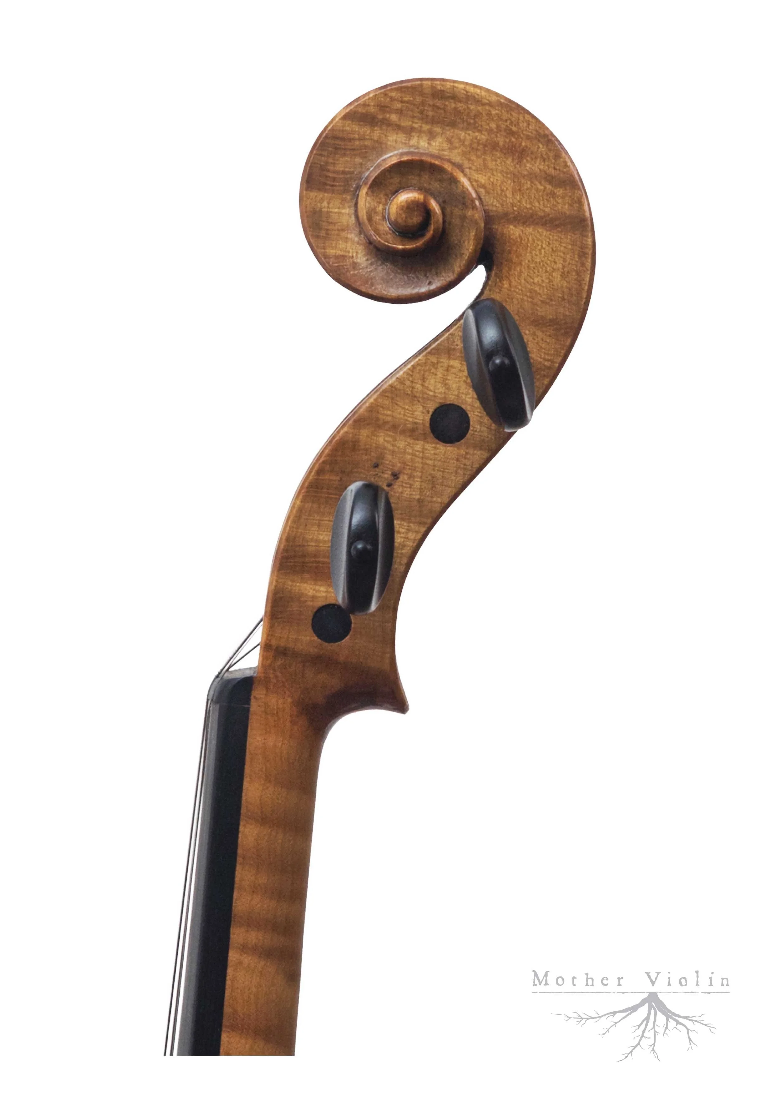 photo/foto Vito Debelak