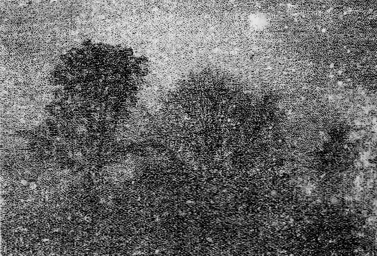 Small Steps Create Big Shifts