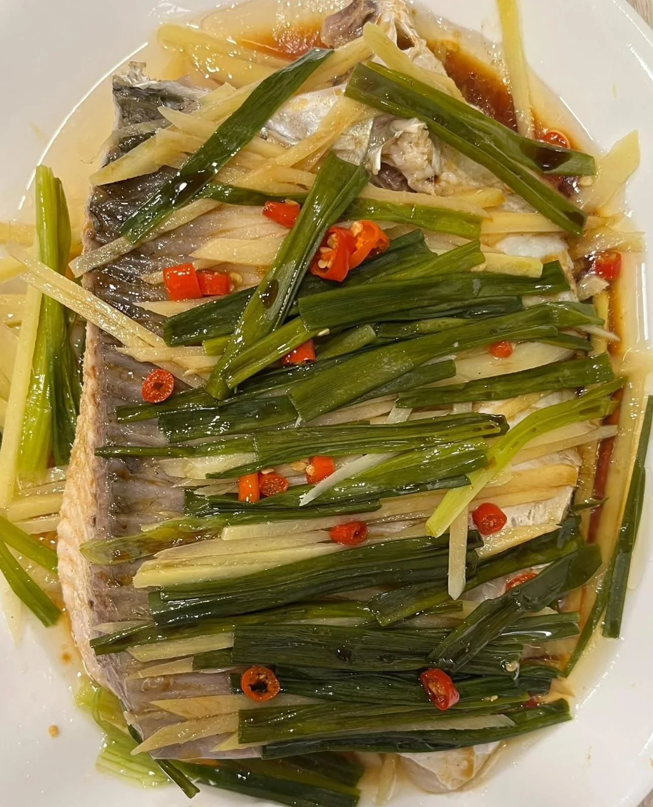 WhatsApp Image 2026-01-19 at 7.38.03 PM.jpeg