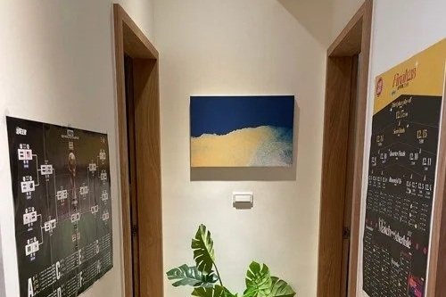 A hallway with two doorways on either side, a colorful abstract painting centered on the wall above a thermostat, and a potted plant with large green leaves at the bottom.