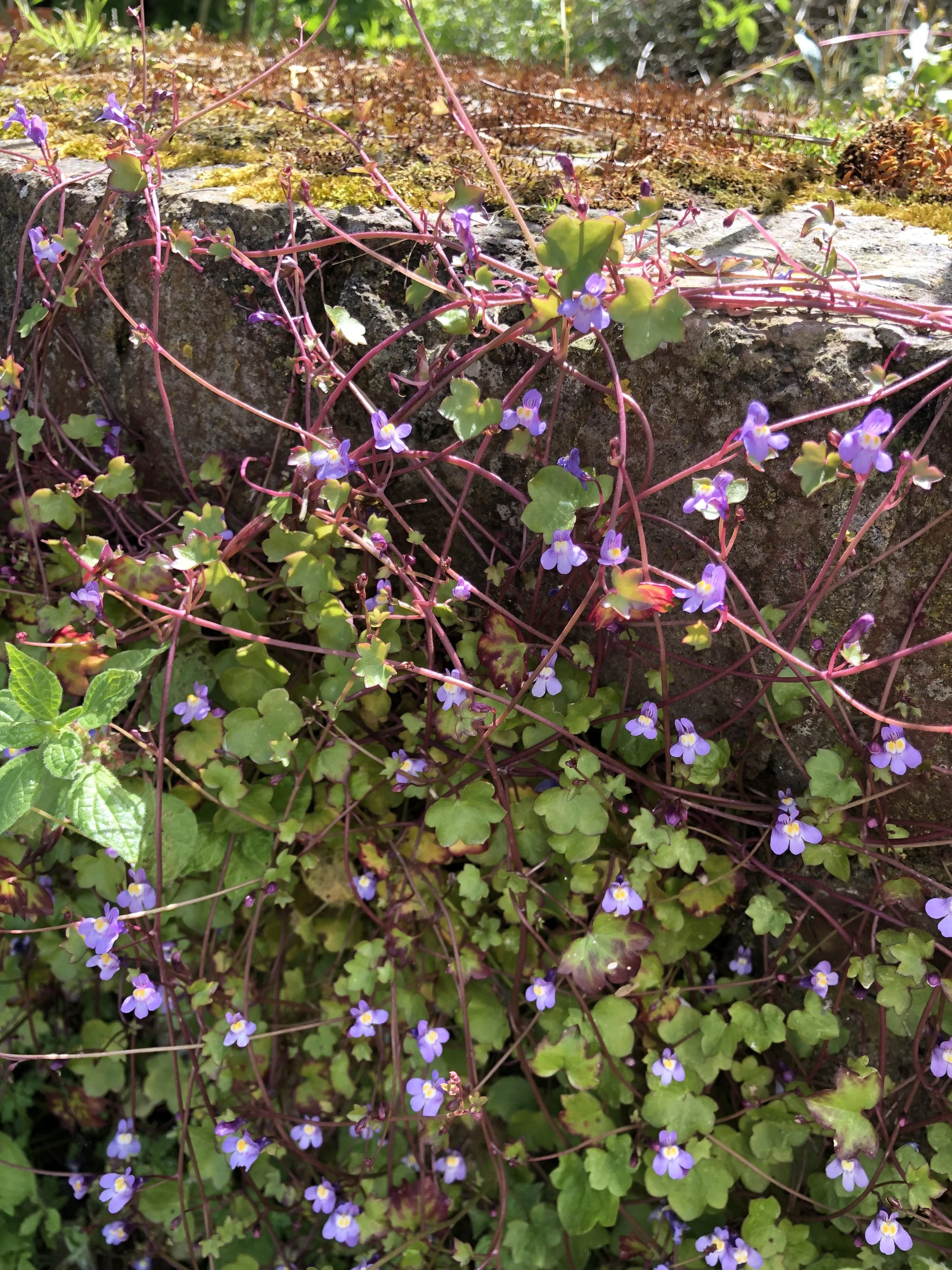 Photo nature vivant projets engagés Émilie Broquet