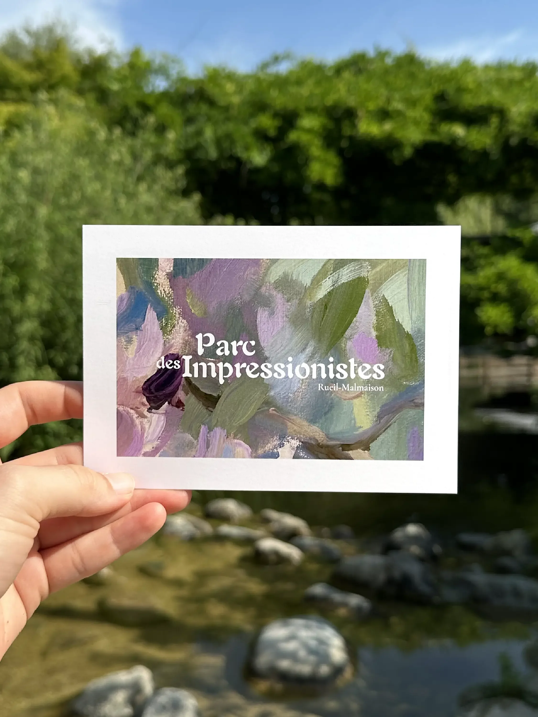 Carte postale "Glycines"