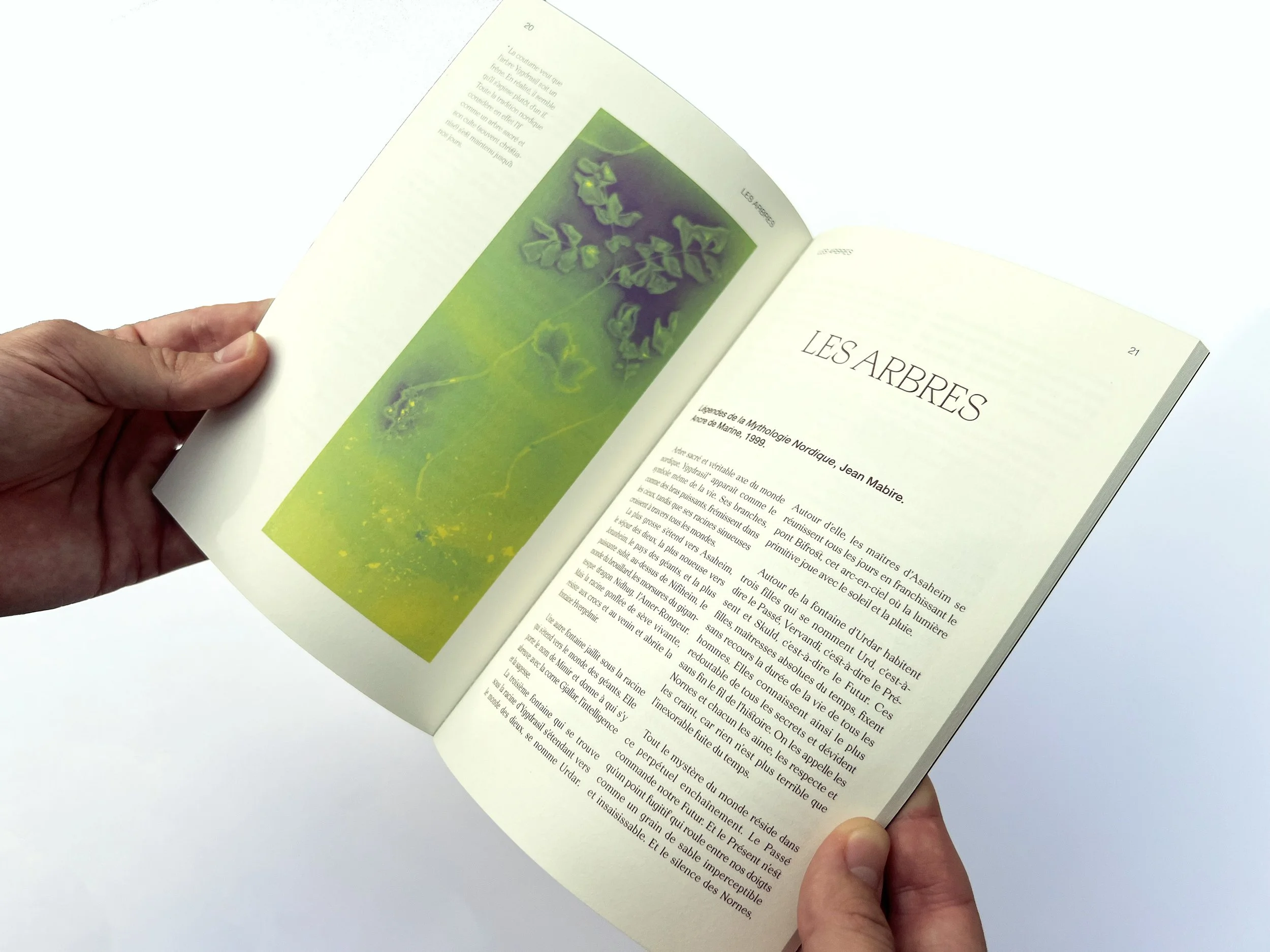 Recueil impressions lumen Eco Perceptio Animisme vivant Émilie Broquet