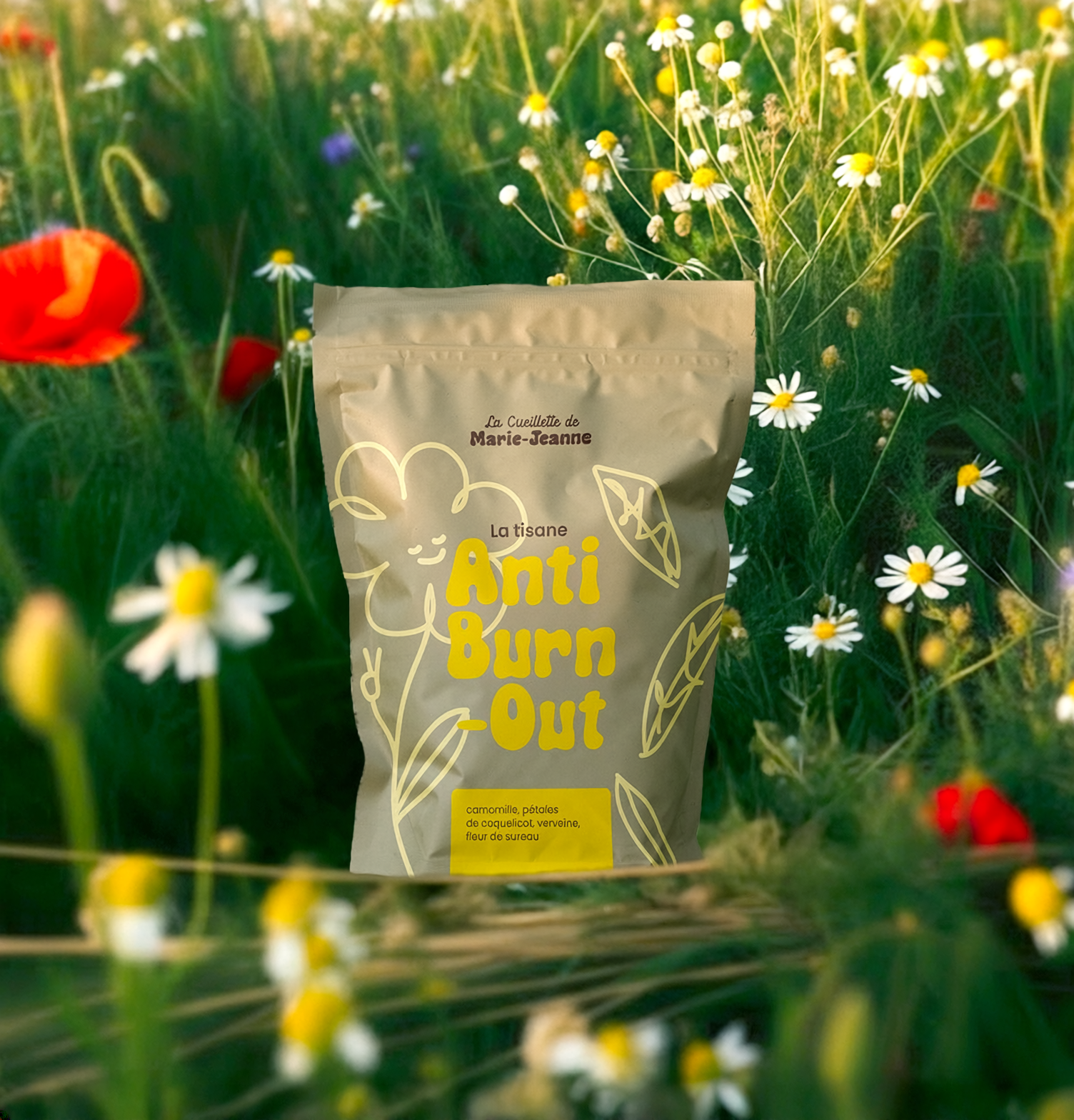 Packaging tisane La Cueillette de Marie-Jeanne marque CBD bien-être Émilie Broquet