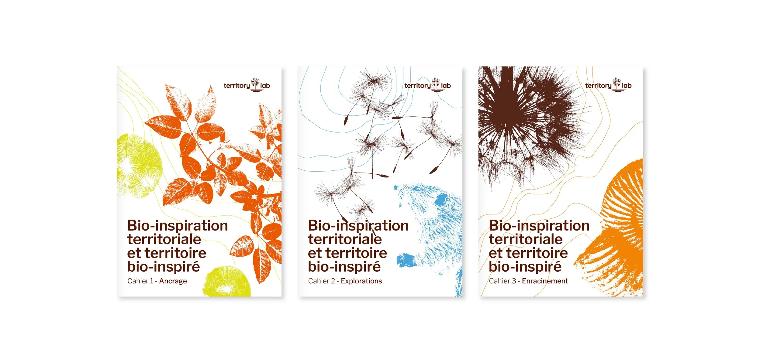 Couvertures bio-inspiration Territory Lab territoires  Émilie Broquet