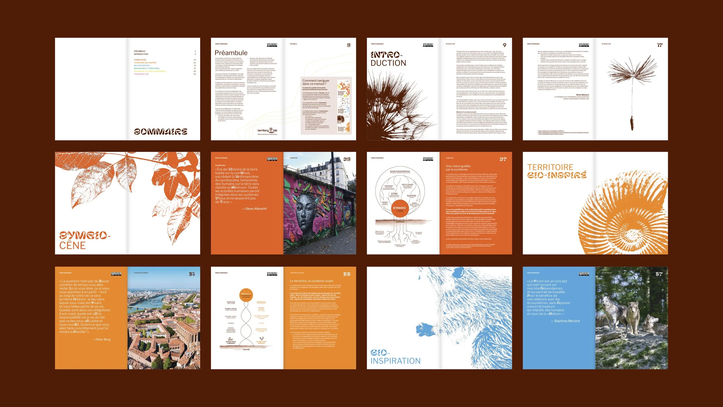 Mise en page bio-inspiration Territory Lab territoires  Émilie Broquet