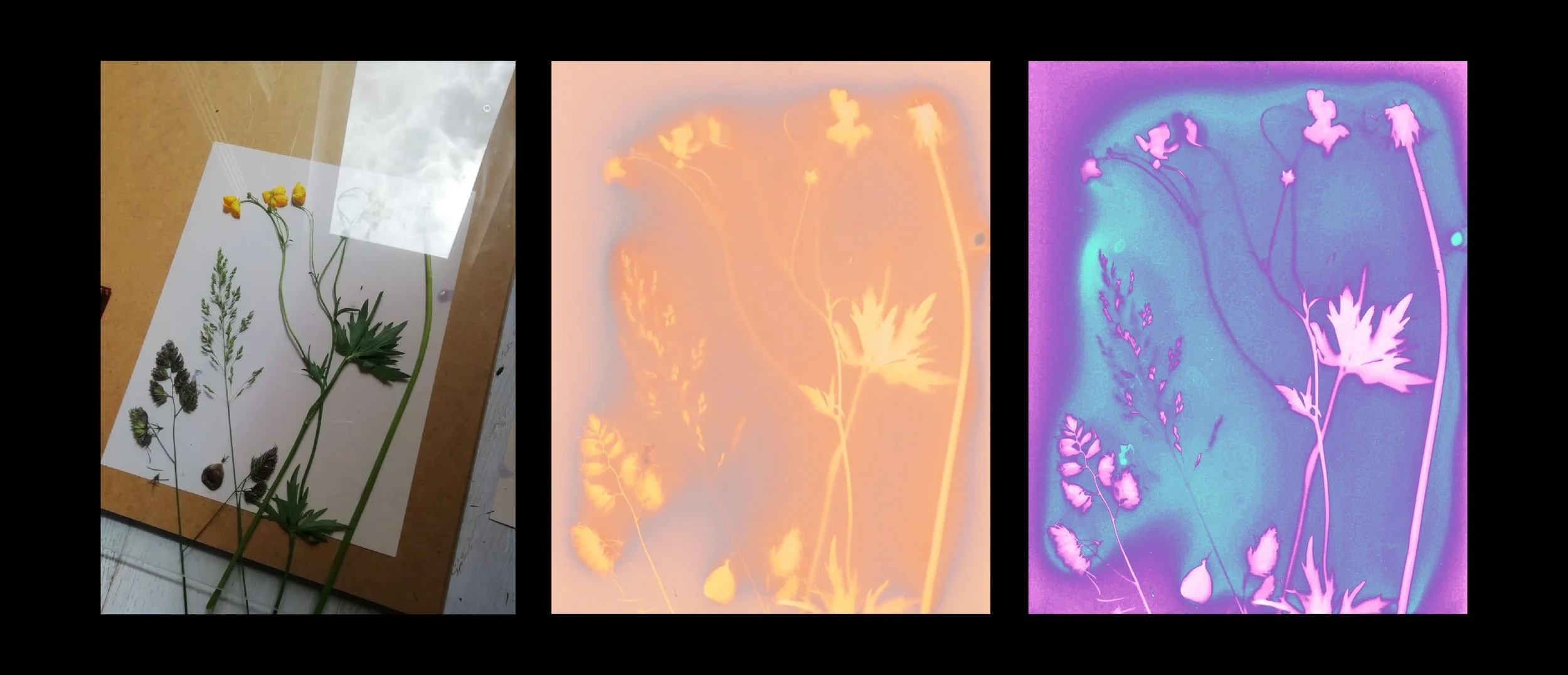 Recueil impressions lumen Eco Perceptio Animisme vivant Émilie Broquet