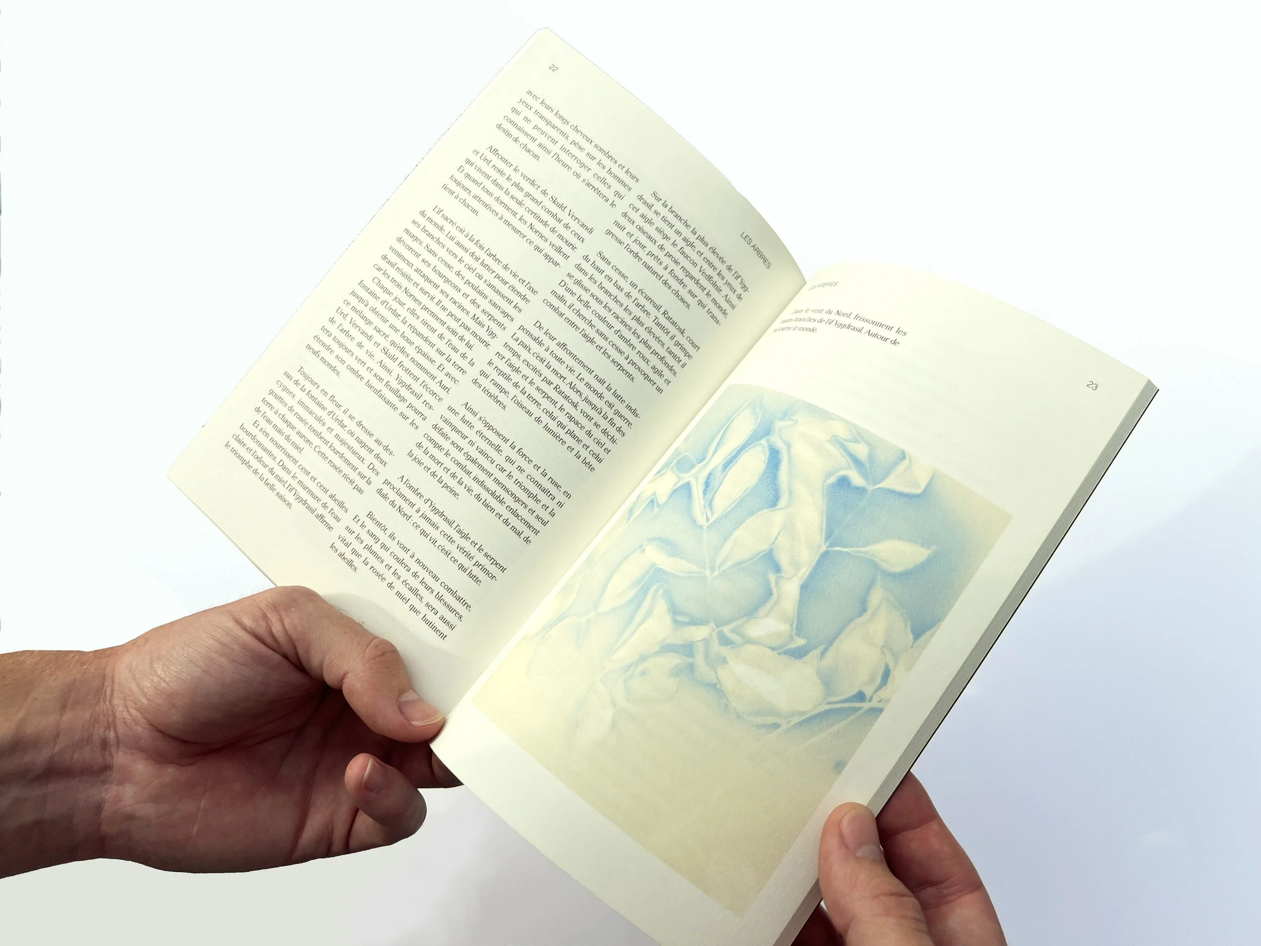 Recueil impressions lumen Eco Perceptio Animisme vivant Émilie Broquet