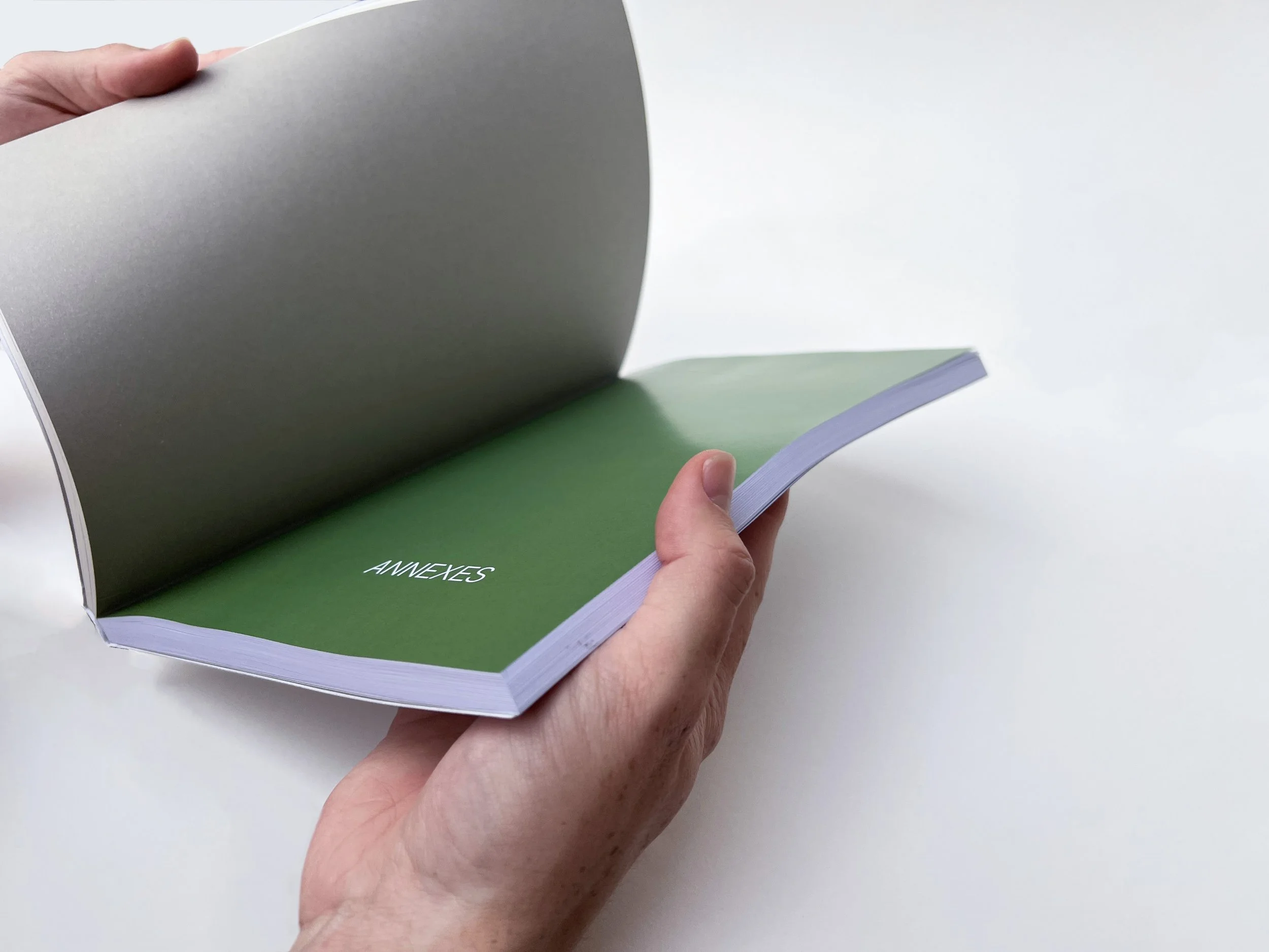 Mise en page livre sémiologie Green is the new black Émilie Broquet