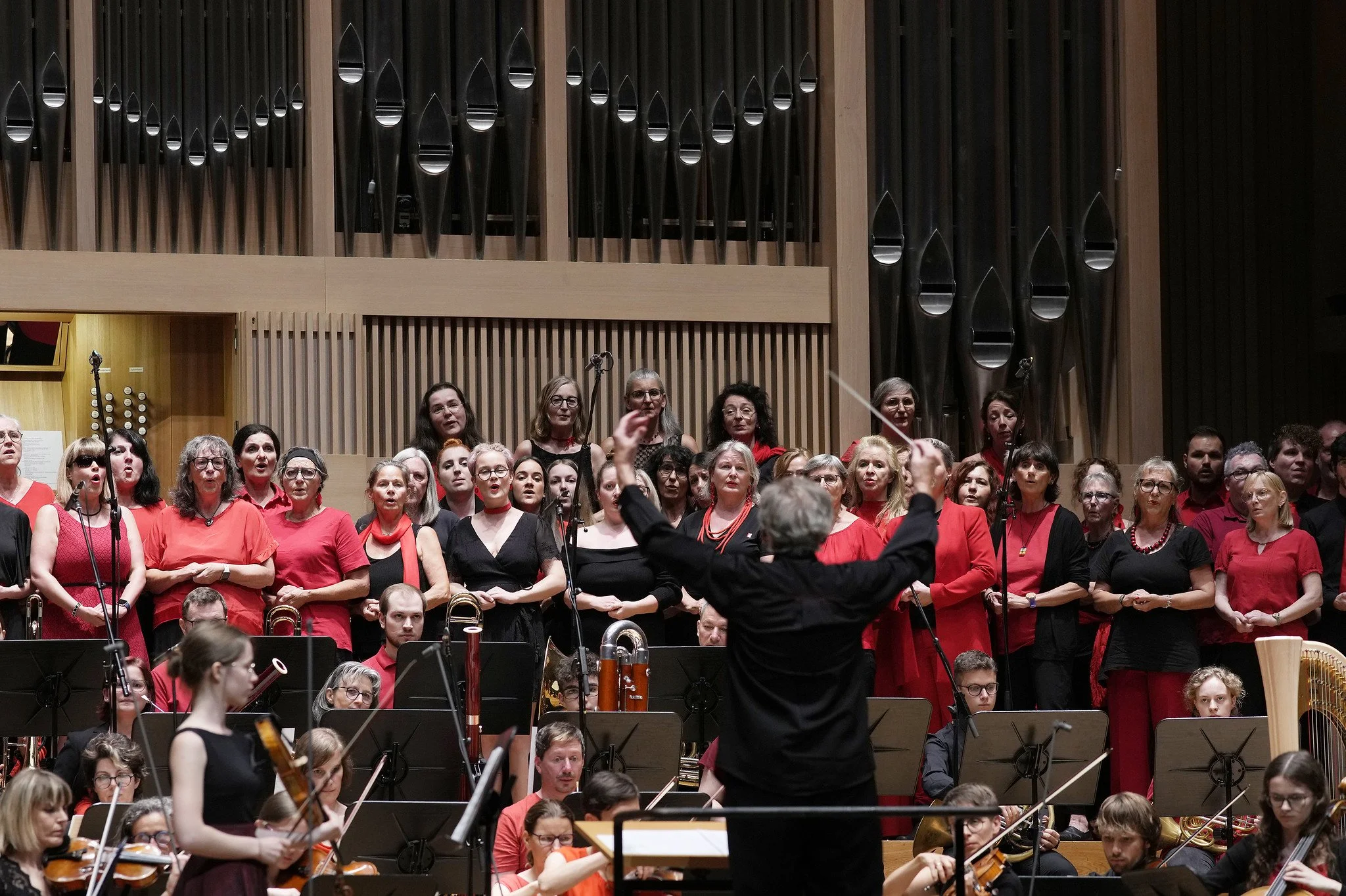 Bruckner Traum und Albtraum