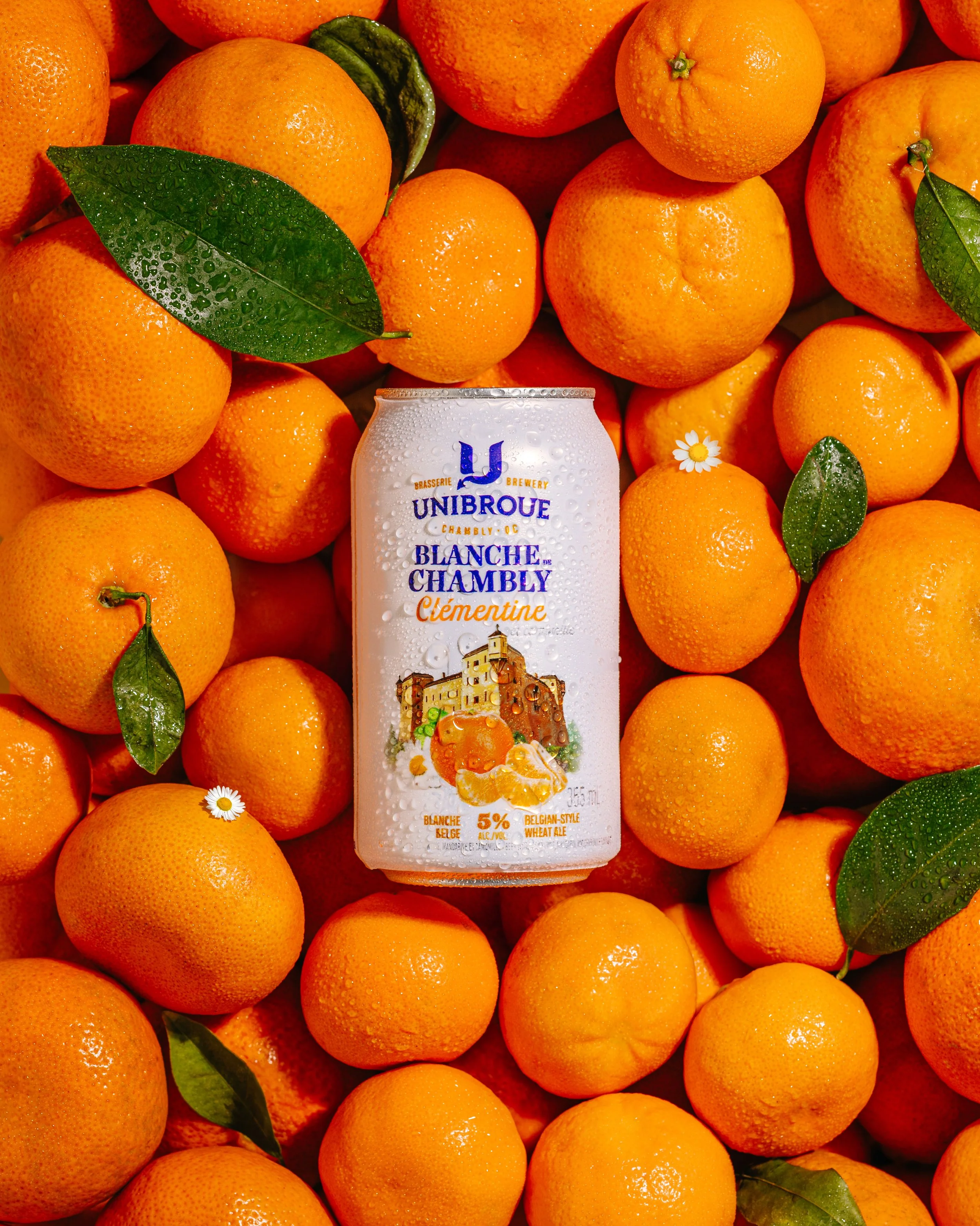 A can of Blanche de Chambly Clémentine beer surrounded by fresh oranges and green leaves with water droplets.