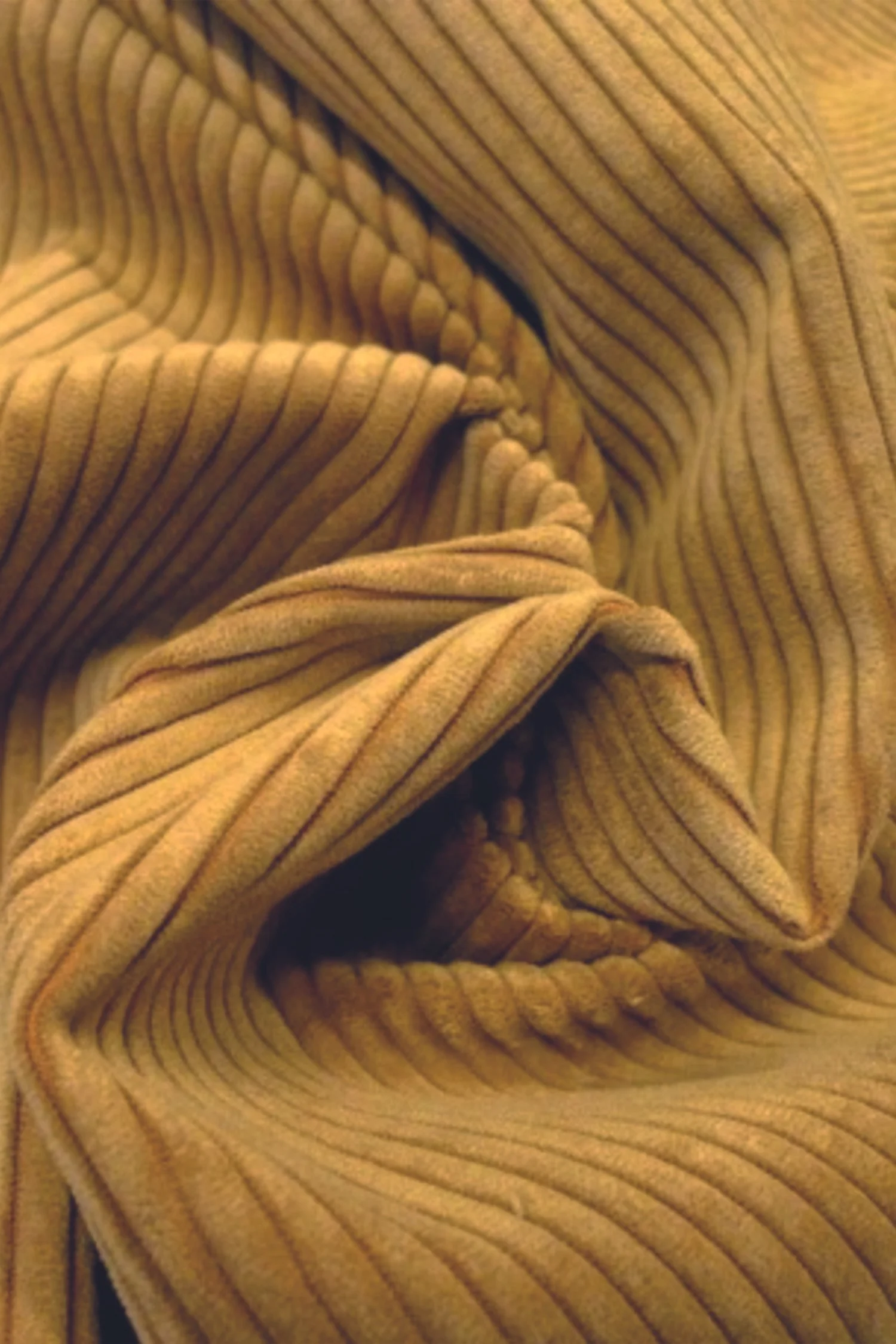 CORDUROY MOUTARDE.jpg