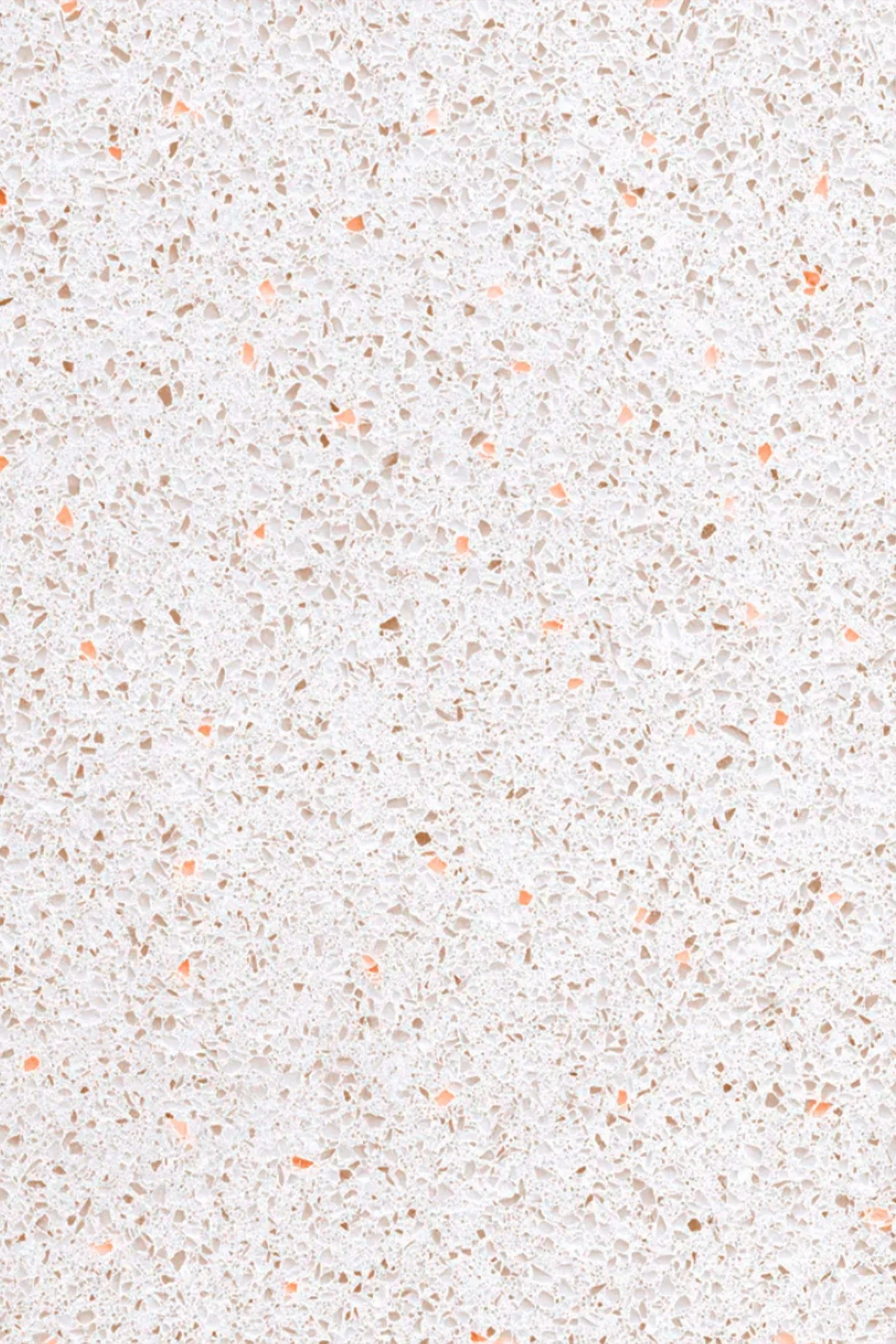 TERRAZZO.jpg