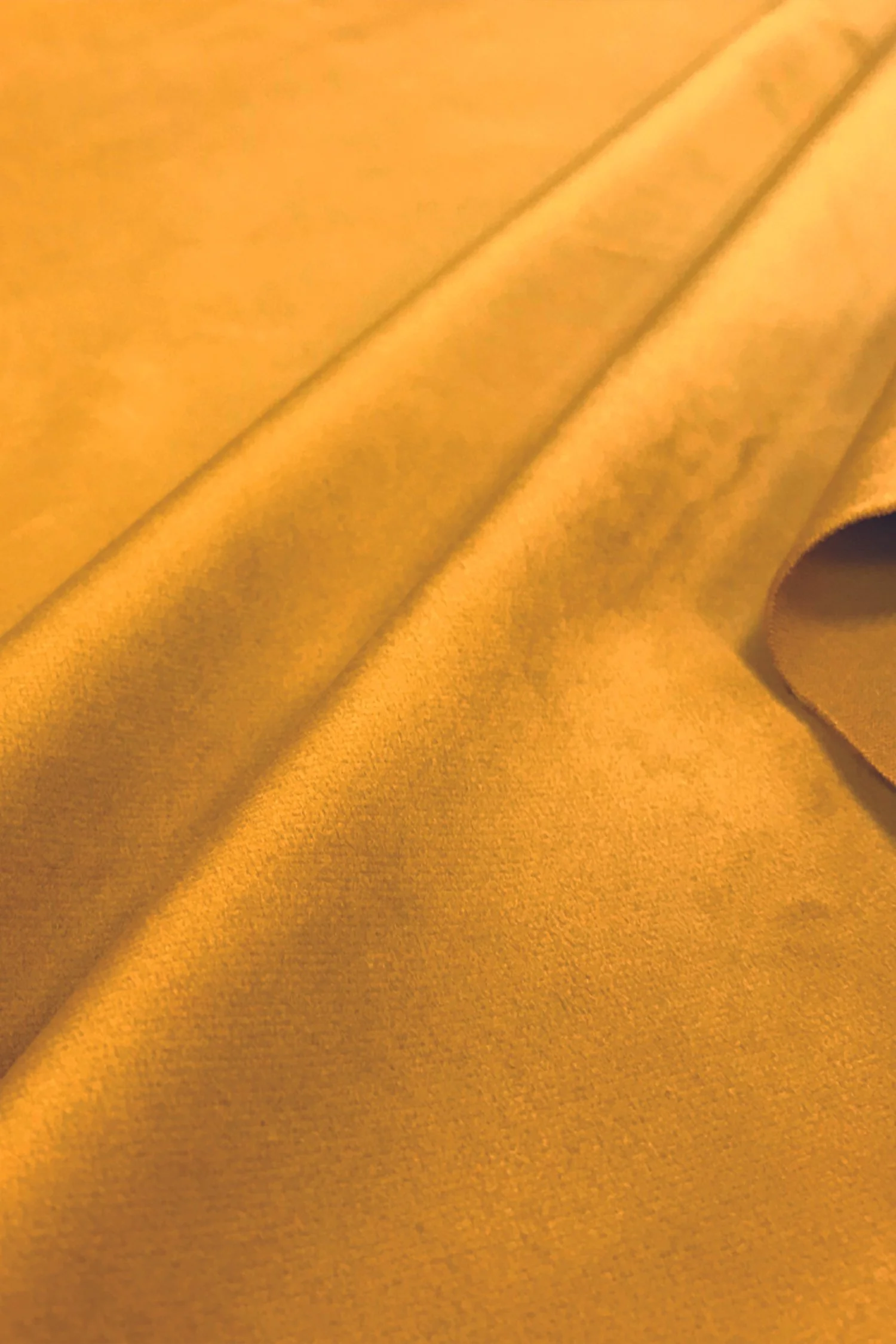 VELOUR MOUTARDE.jpg