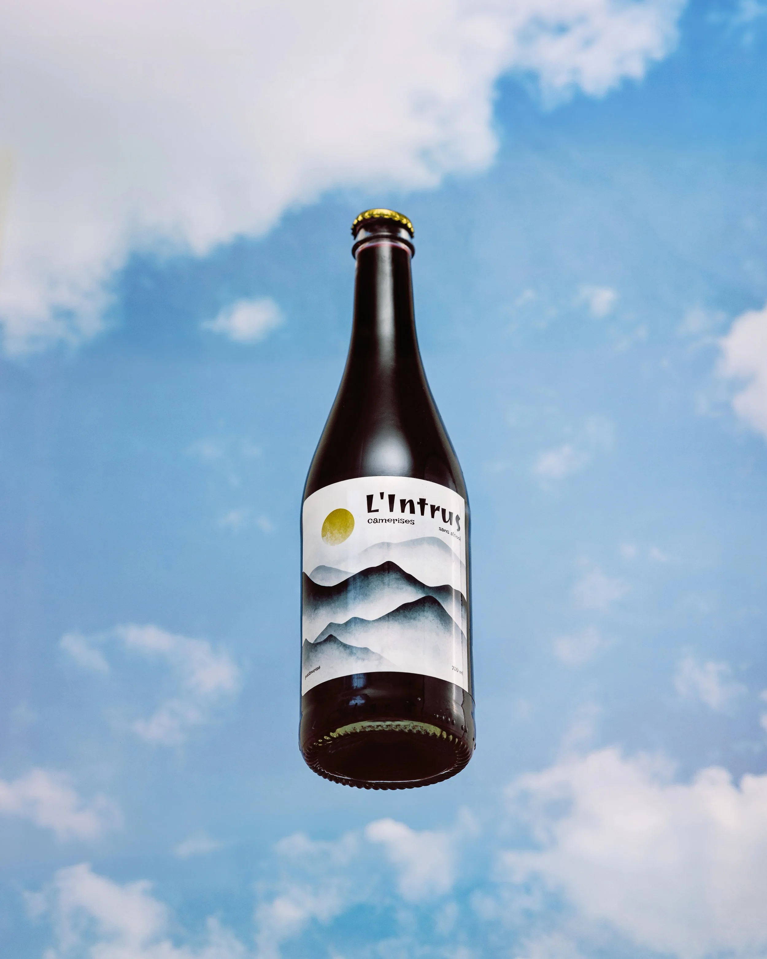 A dark bottle of beer with a label that reads "L'intrus" and features a mountain landscape illustration, floating against a blue sky with clouds.