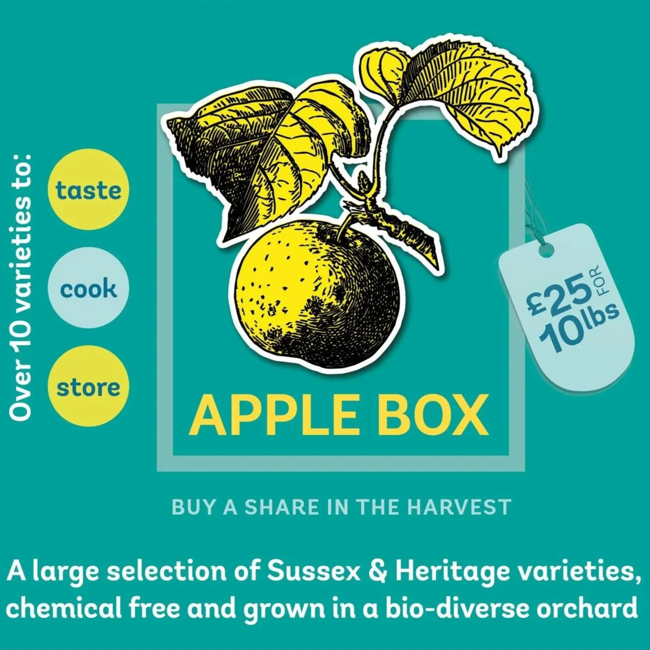 Seasonal Apple Box