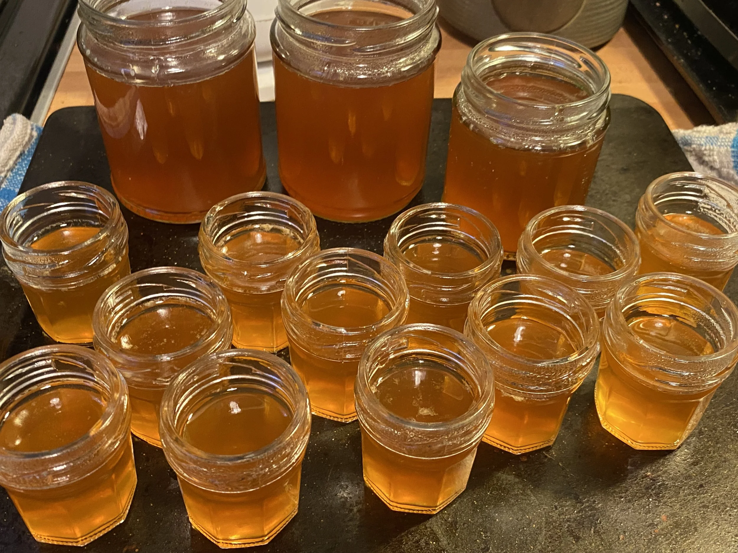 Multiple jars and small cups filled with honey on a black tray in a kitchen setting.