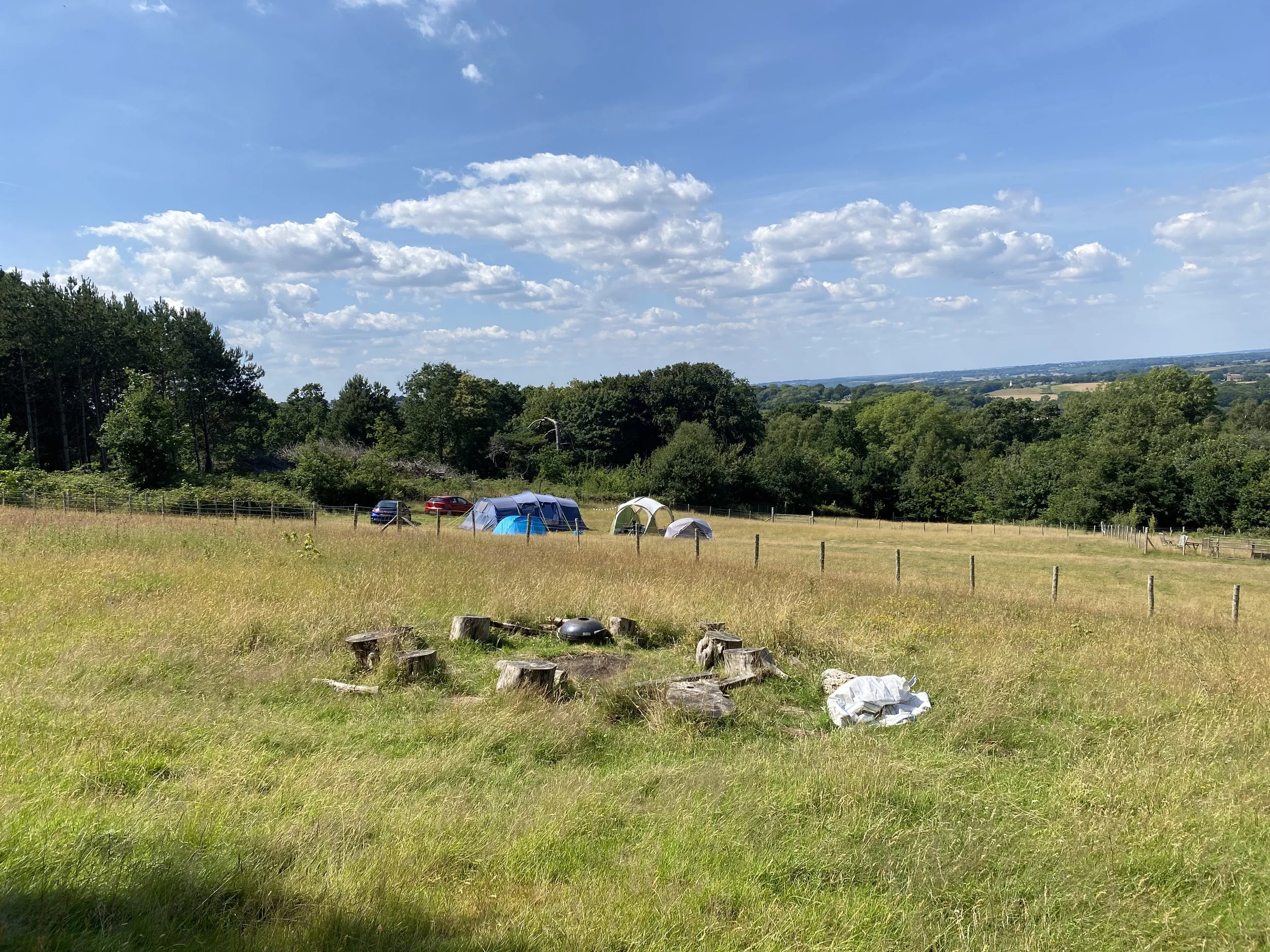 Camping scene with tents, parked cars, and cut logs in a grassy field on a sunny day with blue sky and scattered clouds.